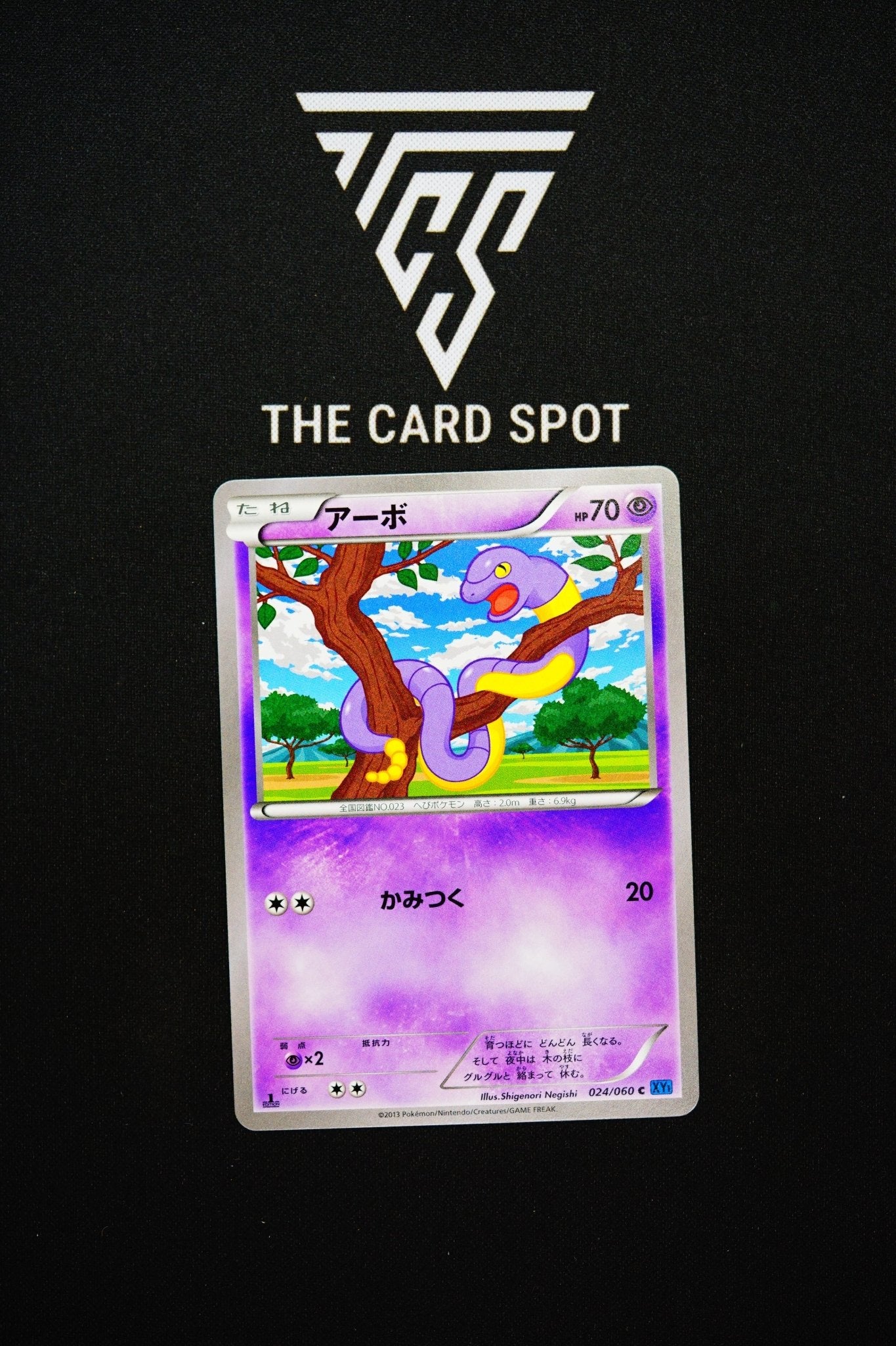024/060 Ekans - Pokemon TCG - THE CARD SPOT PTY LTD.