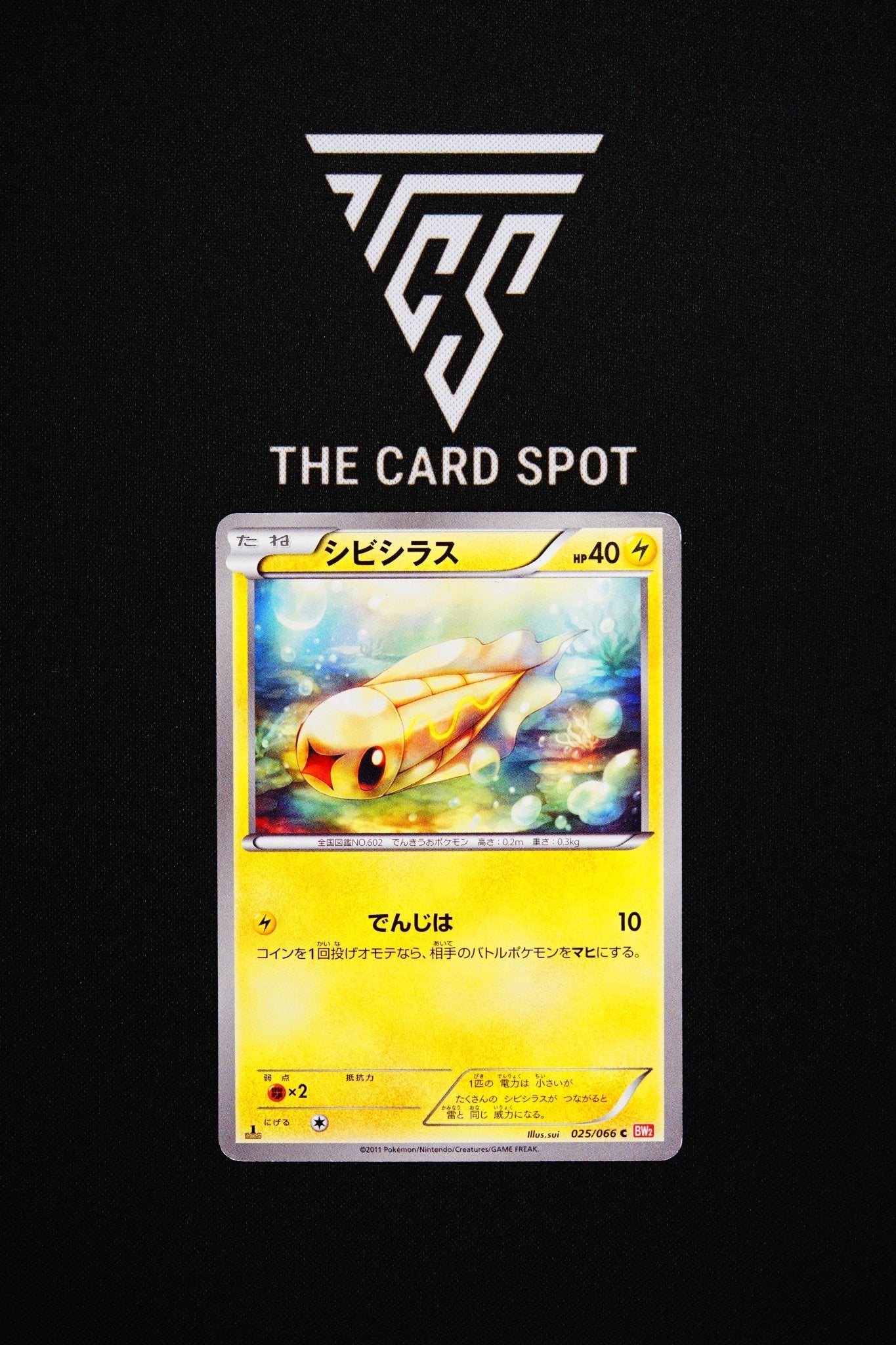 025/066 - Tynamo 1st Edition&nbsp; - Pokemon TCG - THE CARD SPOT PTY LTD.