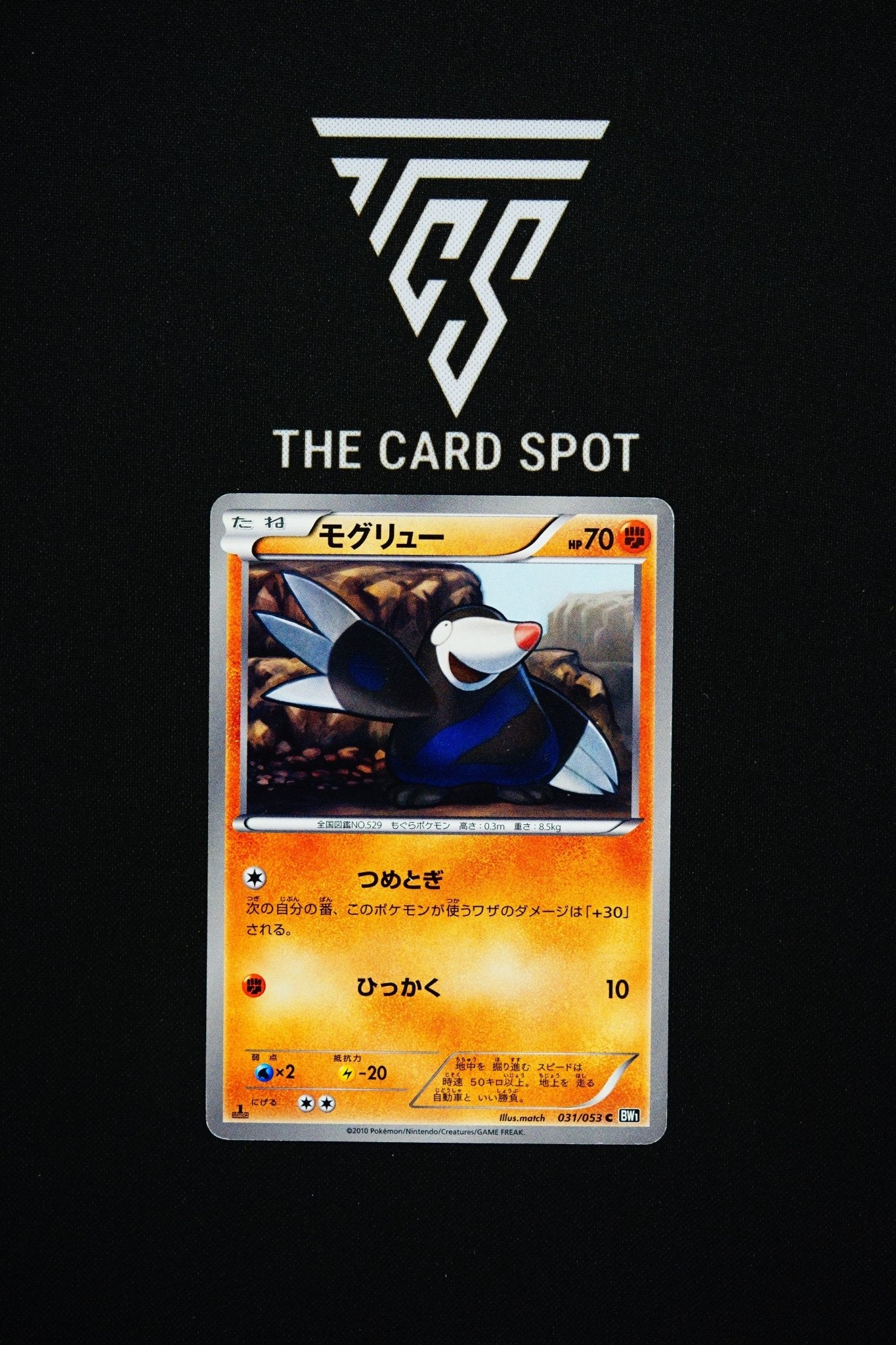 031/053 Drilbur - pokemon TCG - THE CARD SPOT PTY LTD.