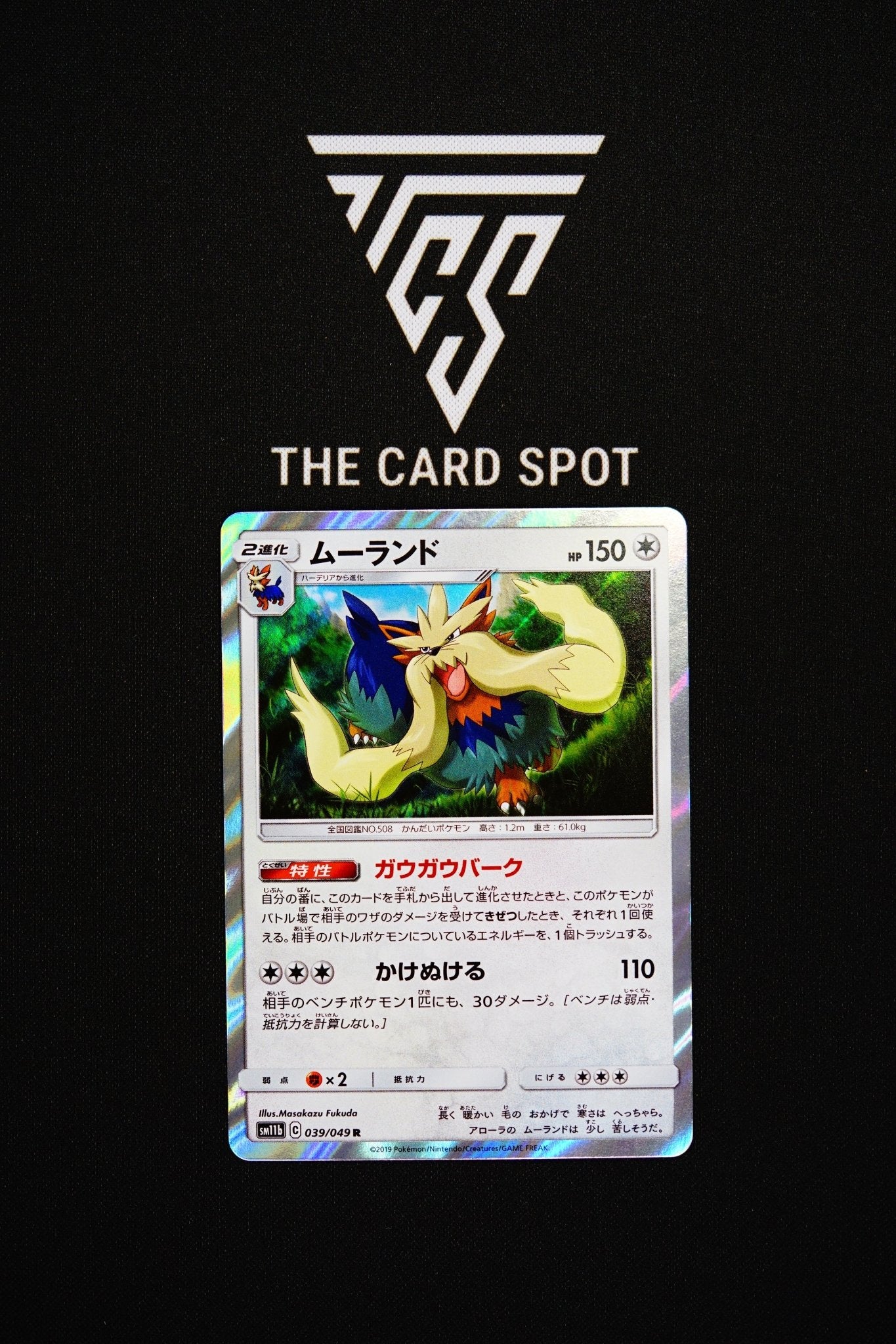 039/049 Stoutland - Pokemon TCG - THE CARD SPOT PTY LTD.