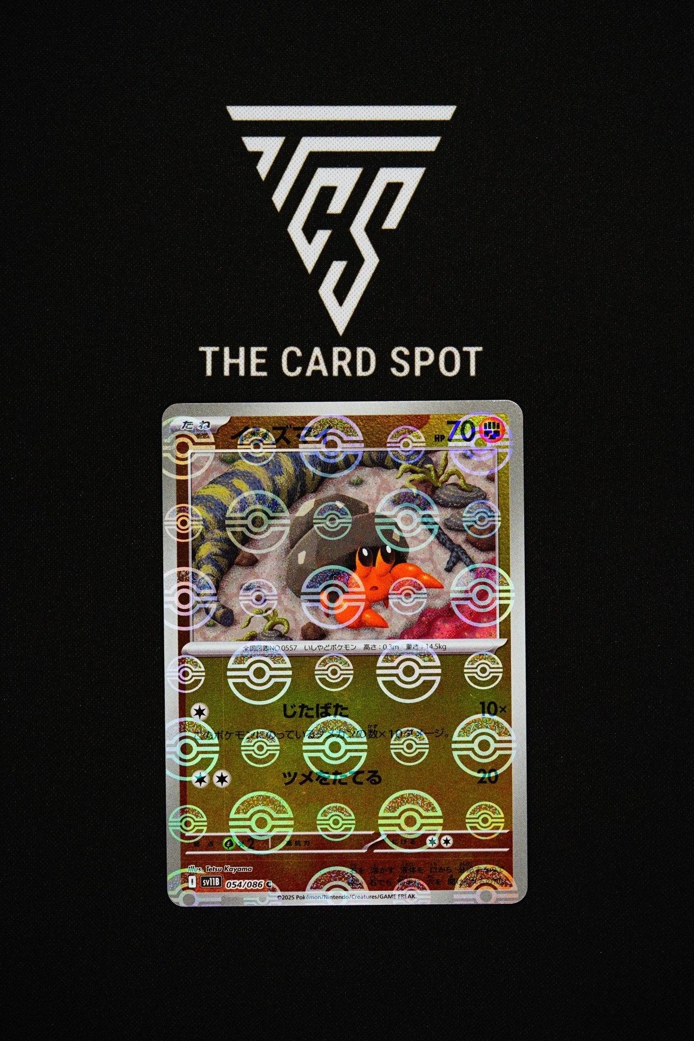 054/086 Dwebble - Pokemon TCG - THE CARD SPOT PTY LTD.