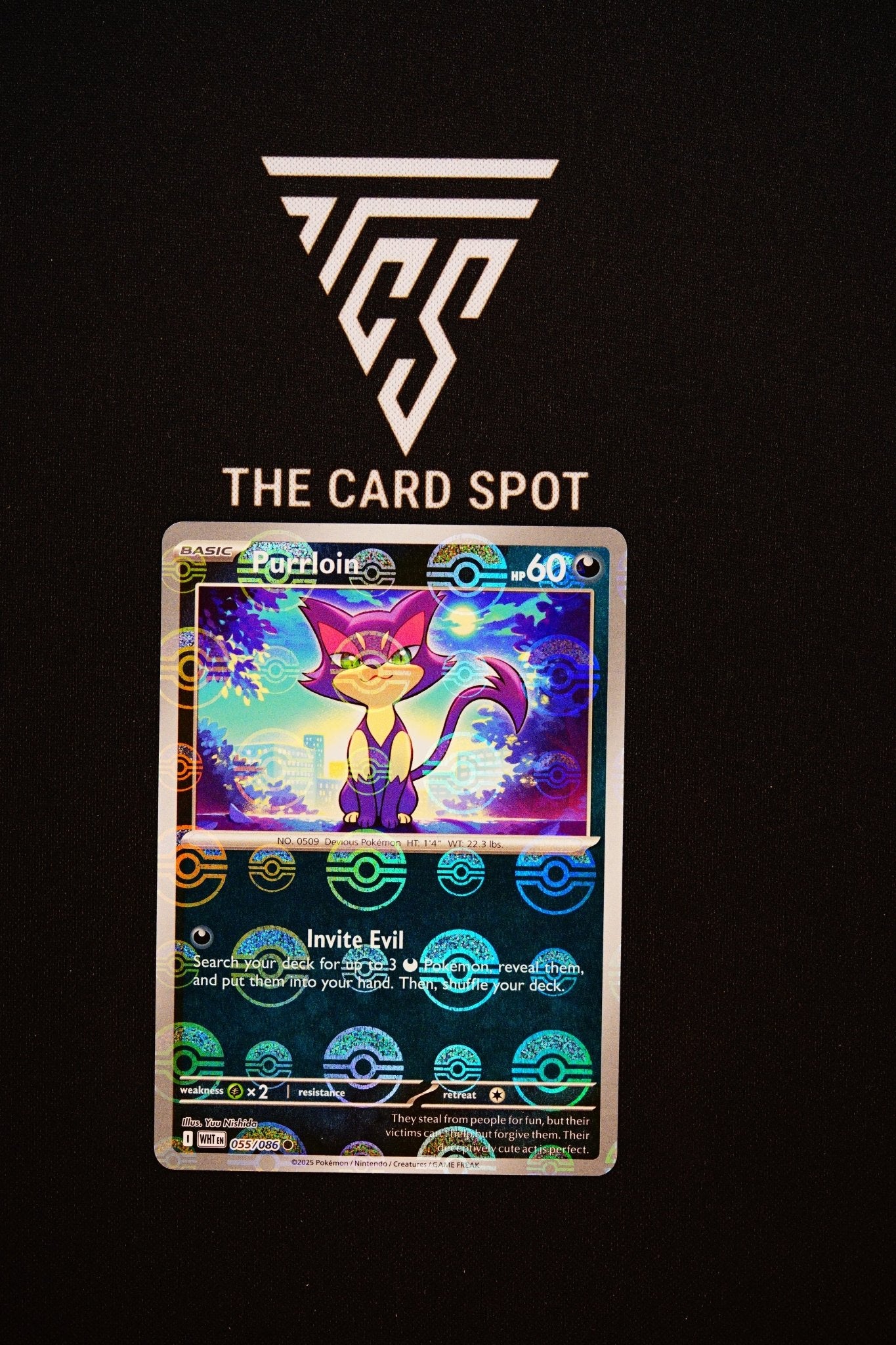 055/086 Purrloin - Pokemon TCG - THE CARD SPOT PTY LTD.