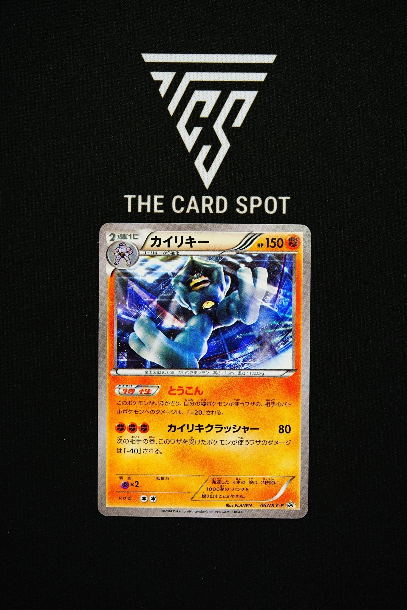 067/XY - P Machamp - Pokemon TCG - THE CARD SPOT PTY LTD.