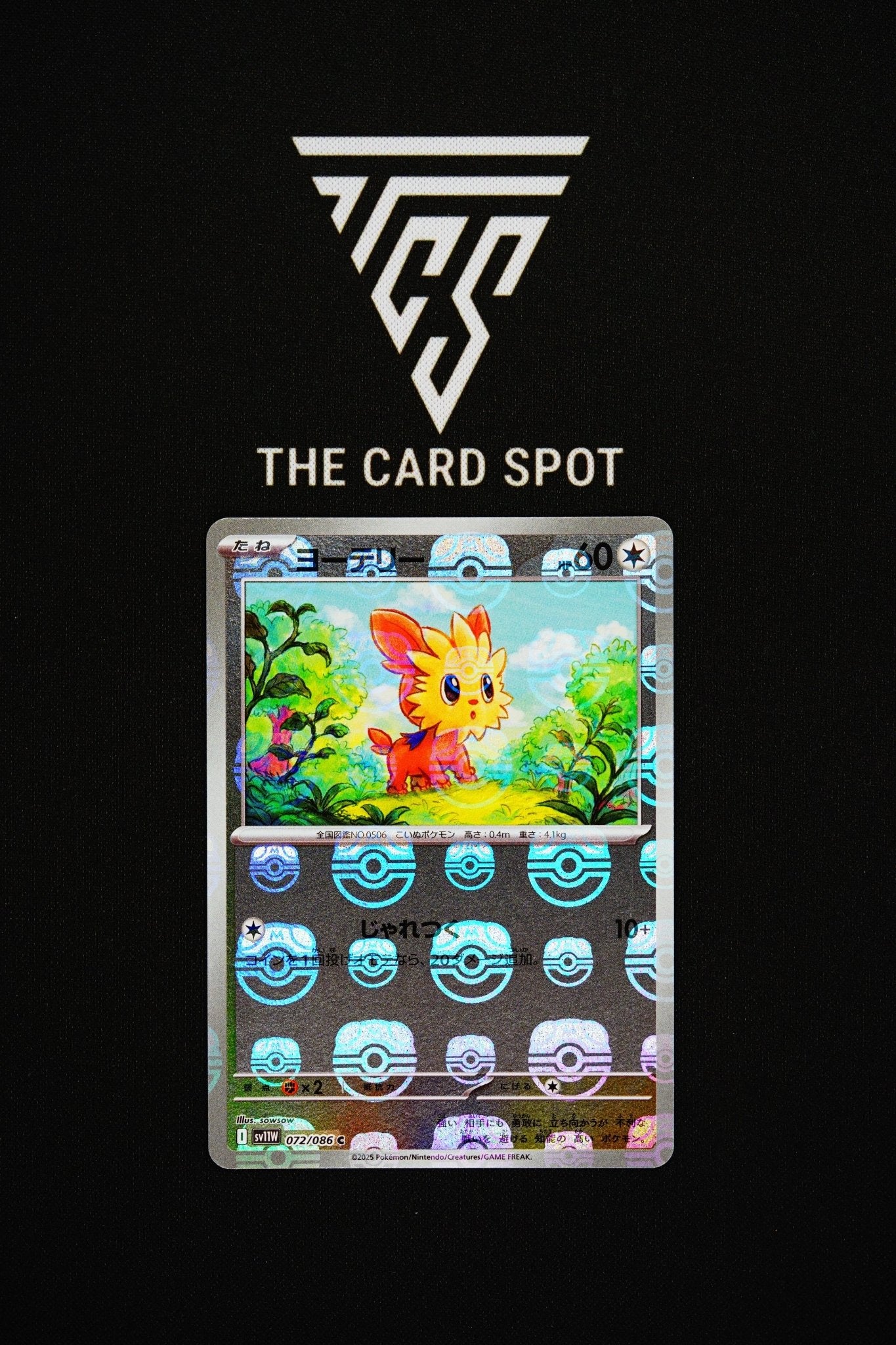 072/086 Lillipup - Pokemon TCG - THE CARD SPOT PTY LTD.