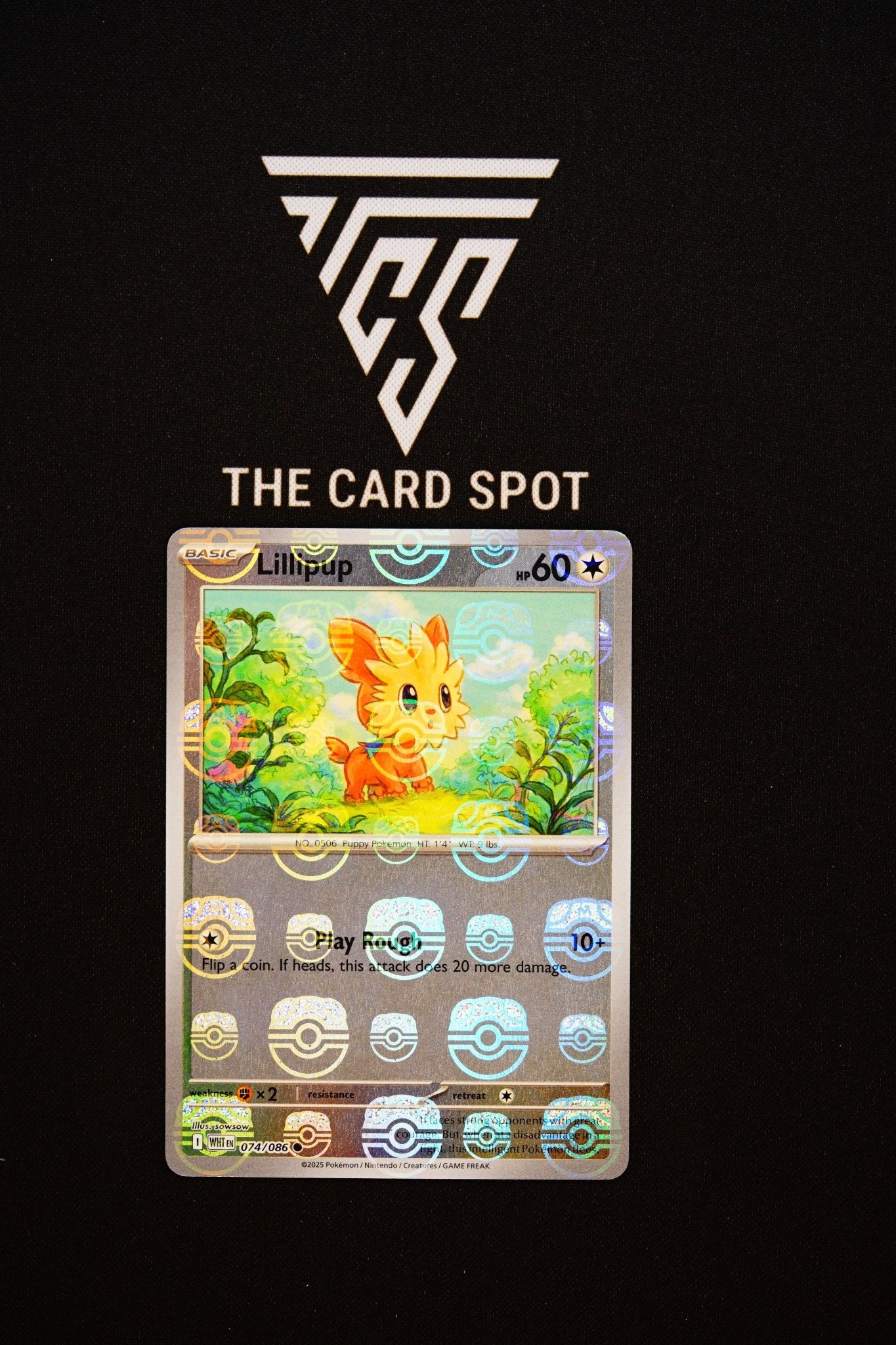 074/086 Lillipup - Pokemon TCG - THE CARD SPOT PTY LTD.
