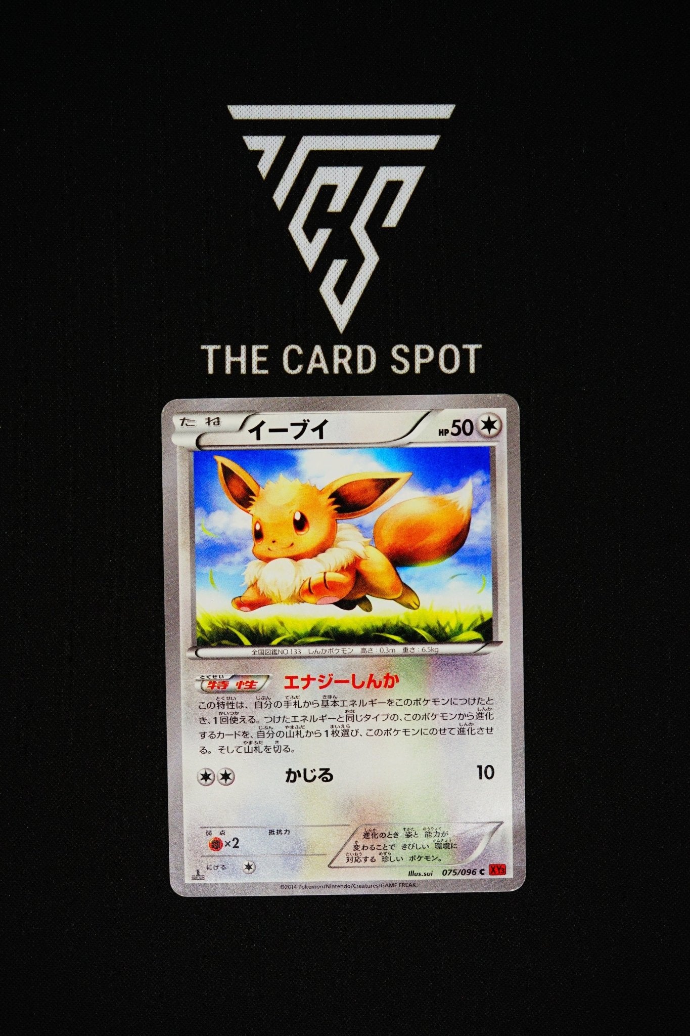 075/096 Eevee 1st Edition - Pokemon TCG - THE CARD SPOT PTY LTD.