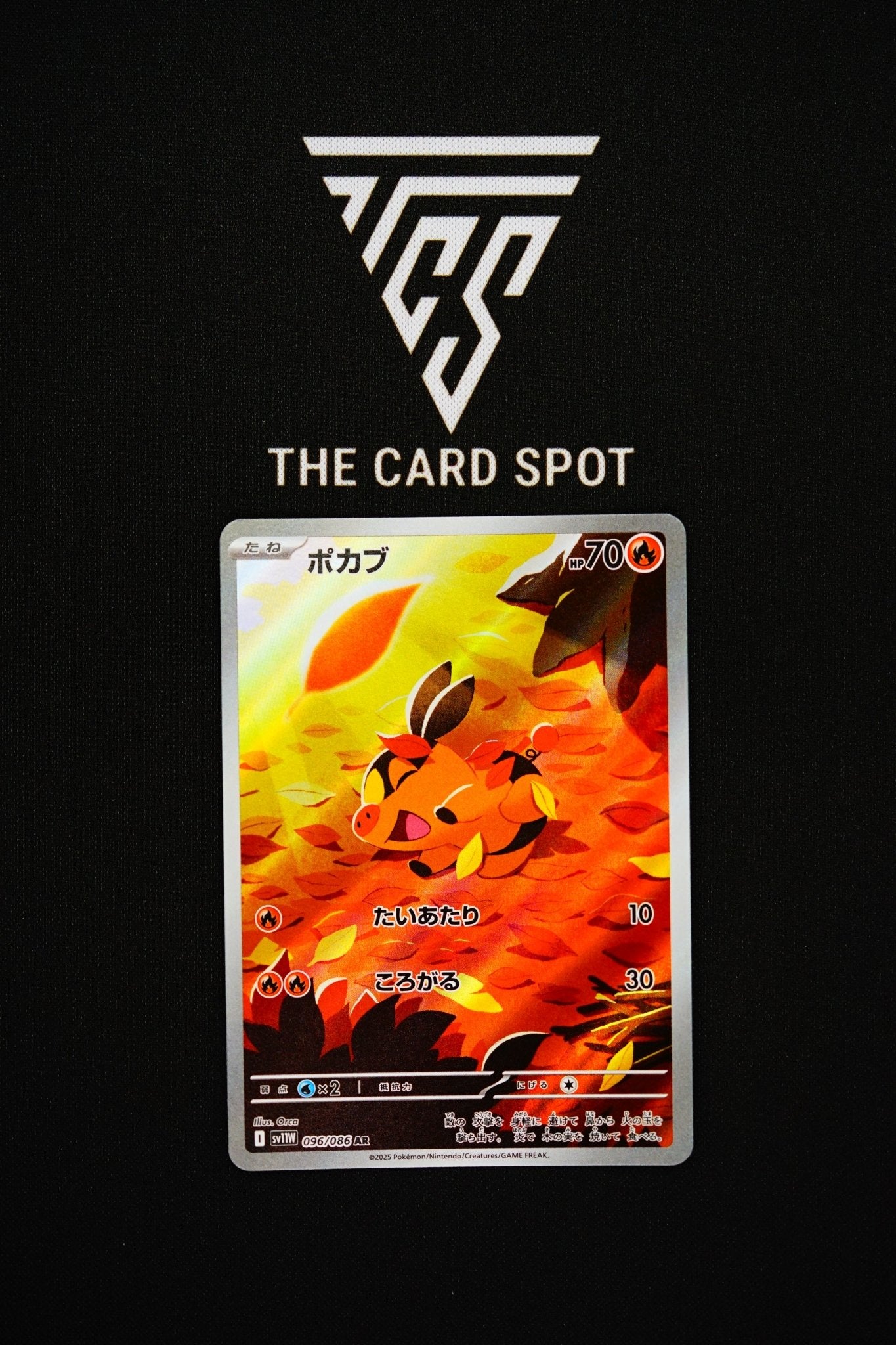 096/086 Tepig - Pokemon TCG - THE CARD SPOT PTY LTD.
