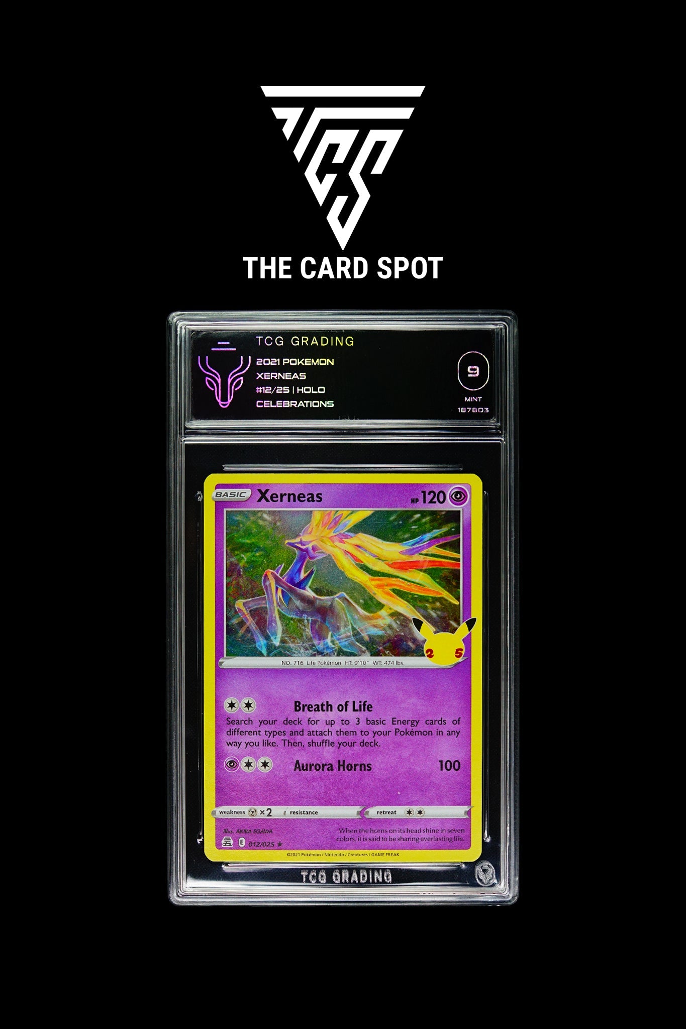 12/25 - Xerneas Holo Celebrations TCG 9 - Pokemon TCG - THE CARD SPOT PTY LTD.