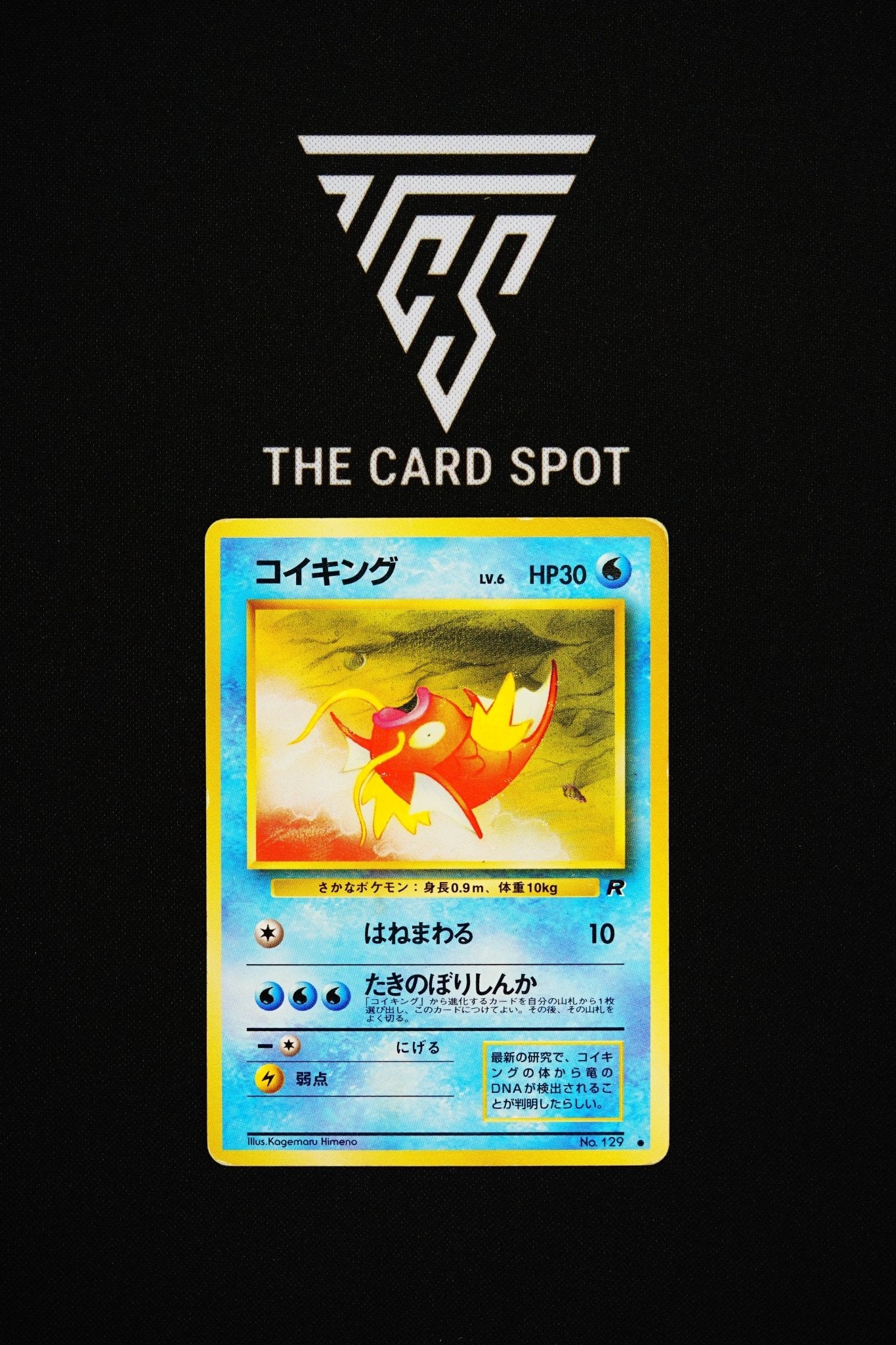 129 Magikarp - Pokemon TCG - THE CARD SPOT PTY LTD.