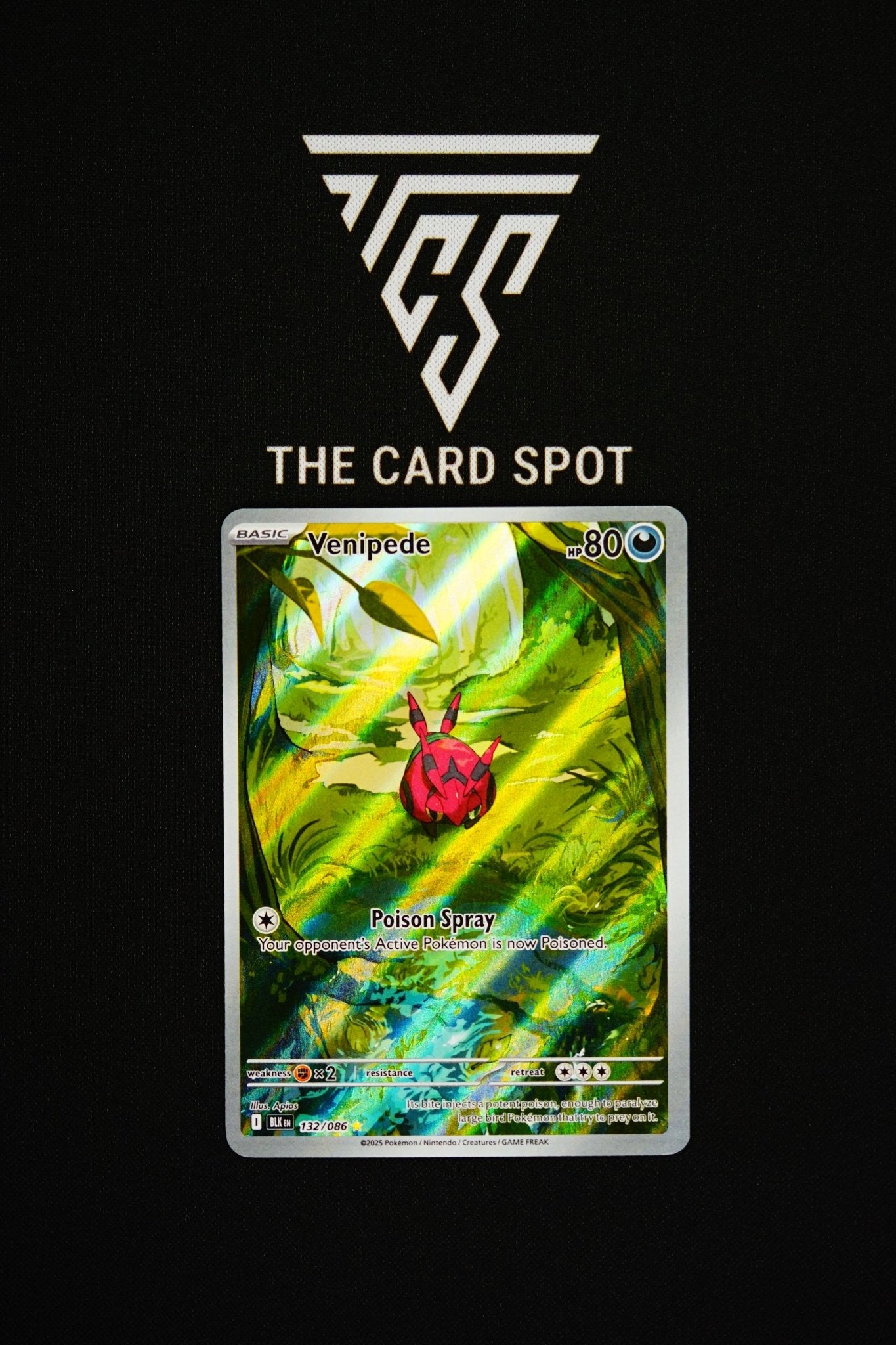 132/086 Venipede - Pokemon TCG - THE CARD SPOT PTY LTD.