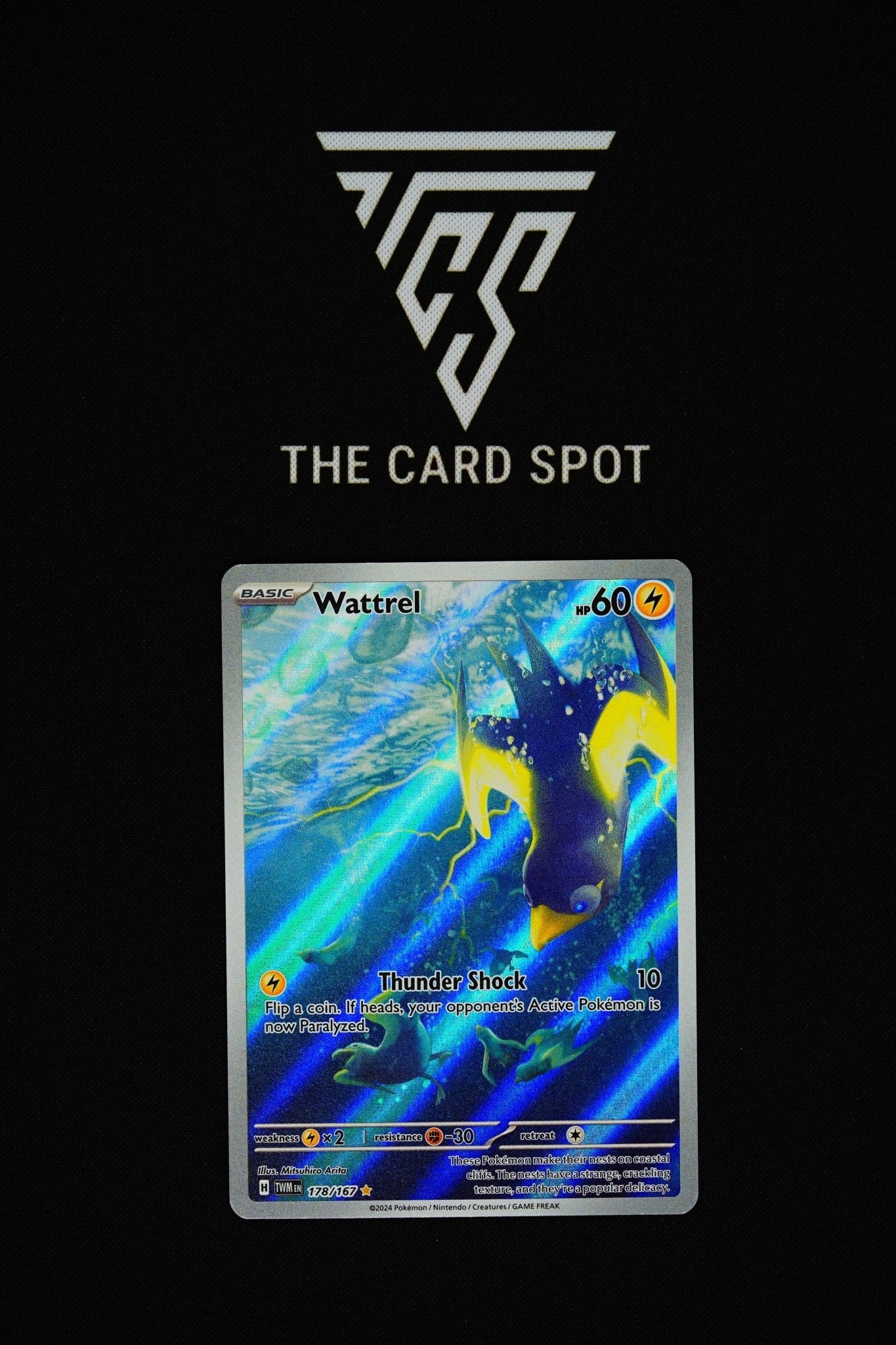 178/167 - Wattrel - Pokemon TCG - THE CARD SPOT PTY LTD.