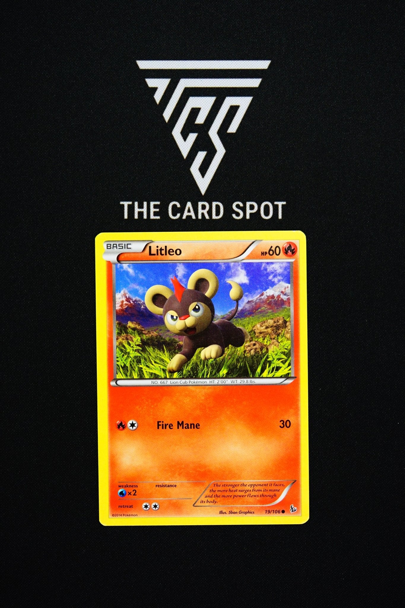19/106 Litleo - Pokemon TCG - THE CARD SPOT PTY LTD.