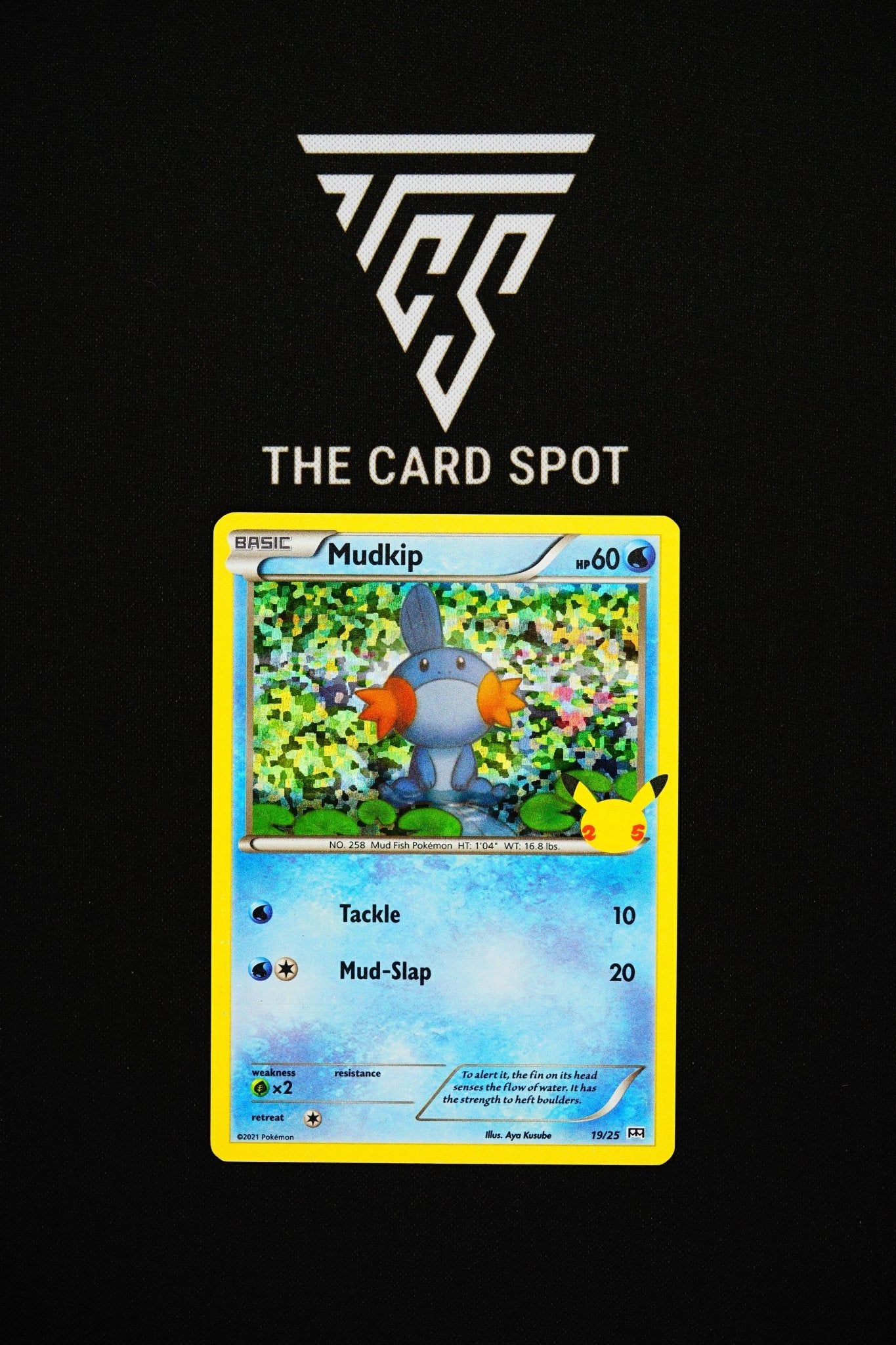 19/25 Mudkip 25th Celebrations - Pokemon TCG - THE CARD SPOT PTY LTD.