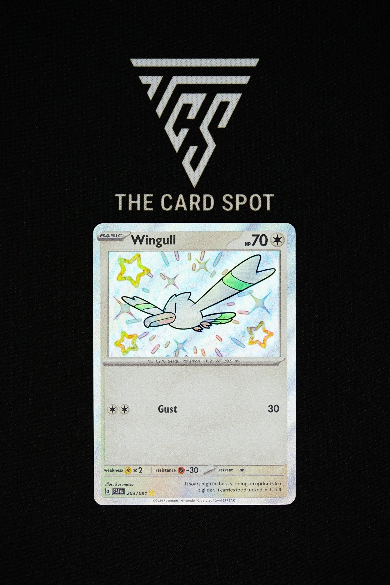 203/091 - Wingull - Pokemon TCG - THE CARD SPOT PTY LTD.