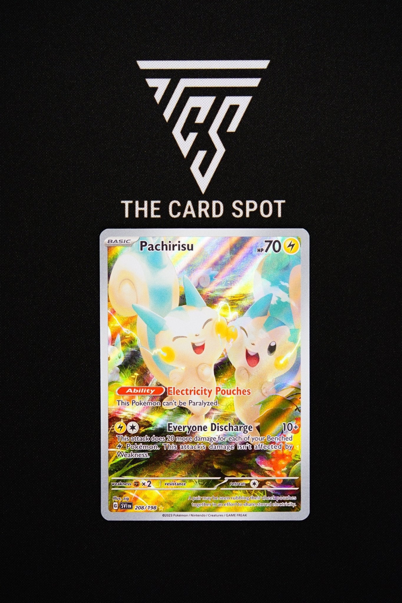 208/198 Pachirisu - Pokemon TCG - THE CARD SPOT PTY LTD.