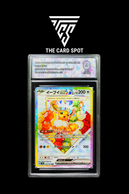 224/187 Eevee Ex TCG 9 - Pokemon TCG - THE CARD SPOT PTY LTD.
