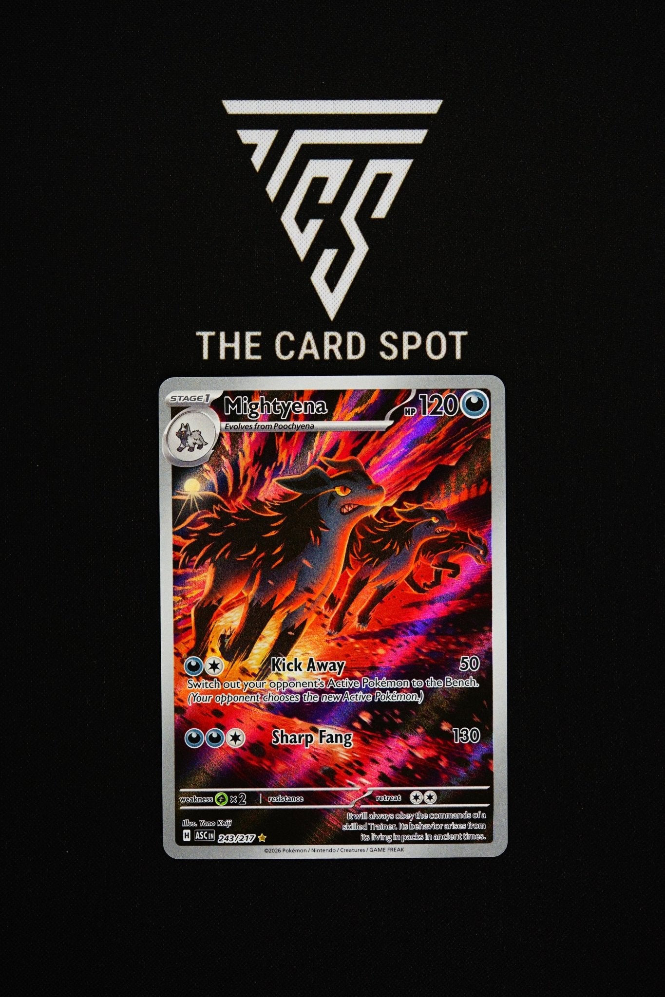 243/217 Mightyena - Pokemon TCG - THE CARD SPOT PTY LTD.