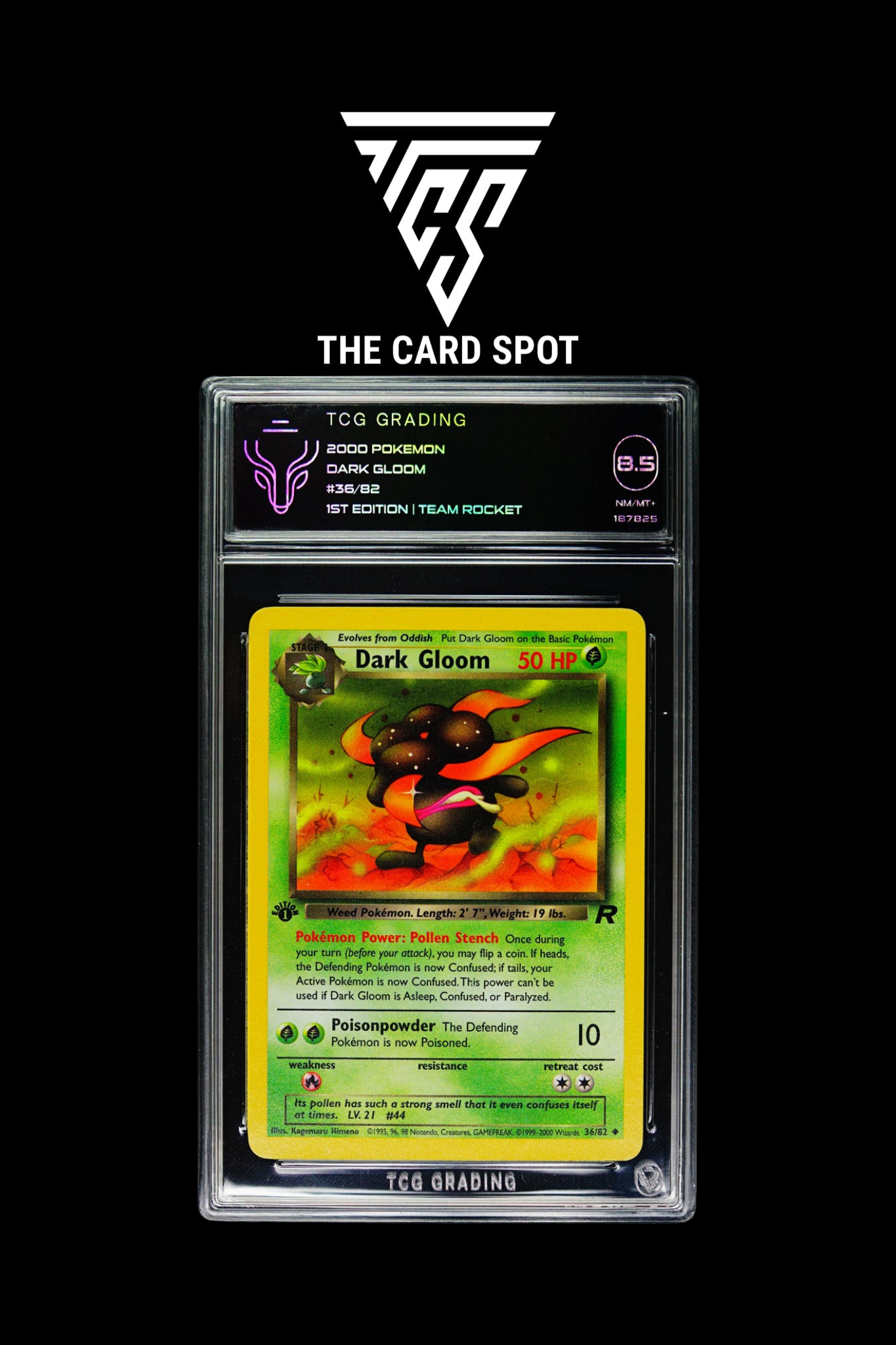36/82 Dark Gloom TCG 8.5 - Pokemon TCG - THE CARD SPOT PTY LTD.