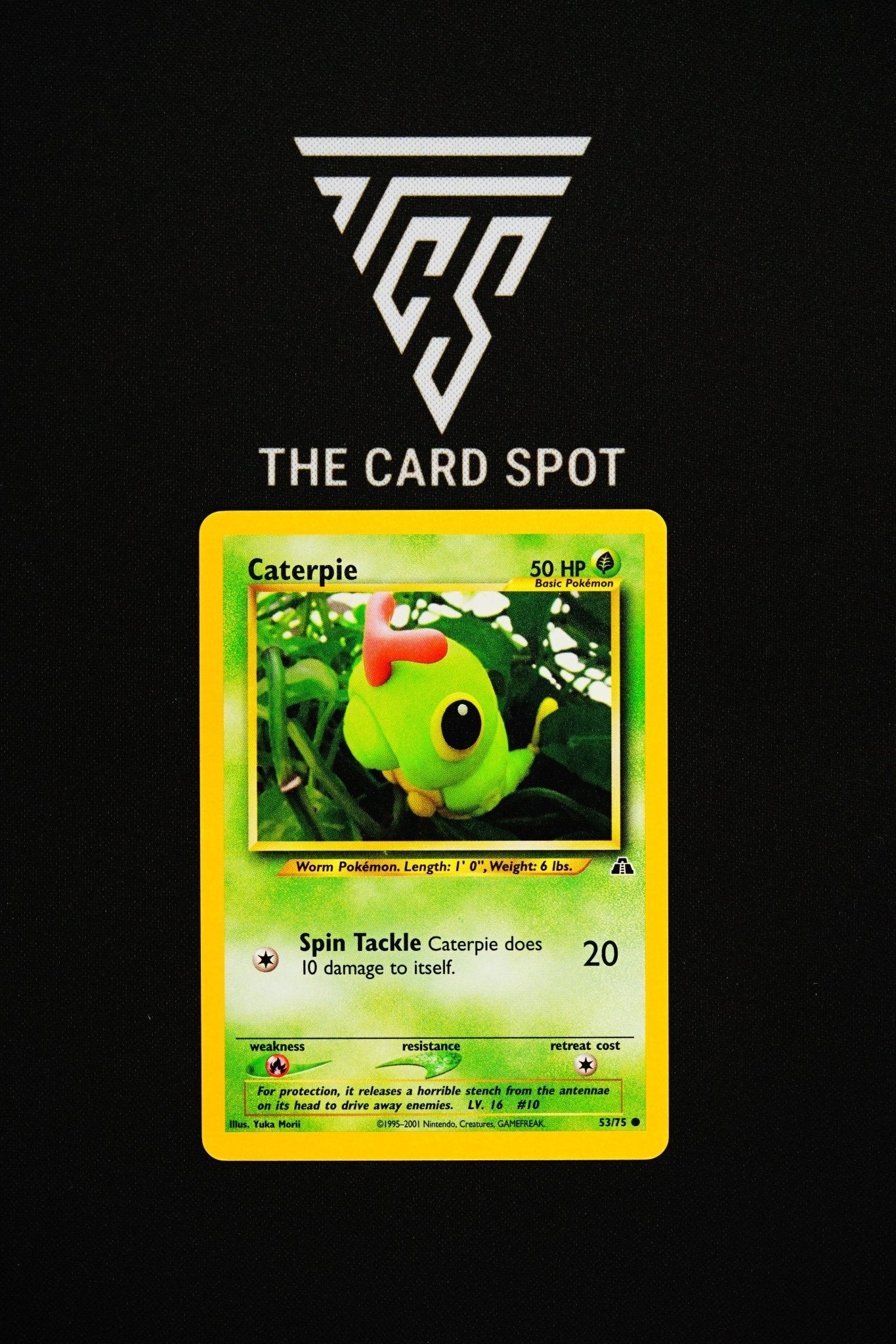 53/75 Caterpie - Pokemon TCG - THE CARD SPOT PTY LTD.