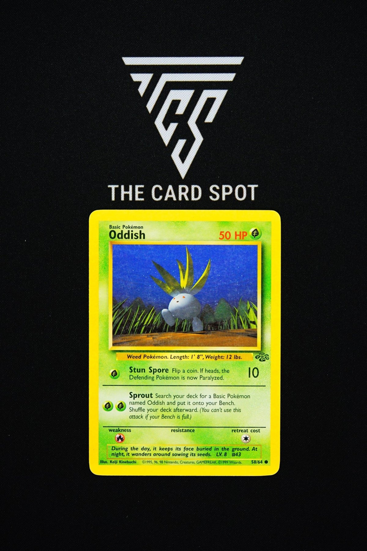 58/64 Oddish [MP] - Pokemon TCG - THE CARD SPOT PTY LTD.