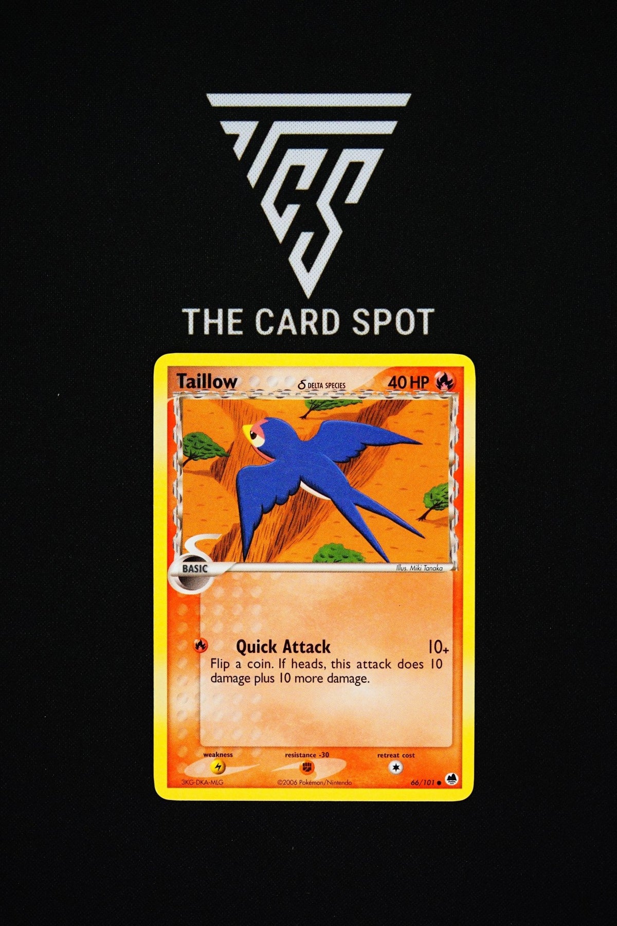 66/101 Taillow [LP] - Pokemon TCG - THE CARD SPOT PTY LTD.