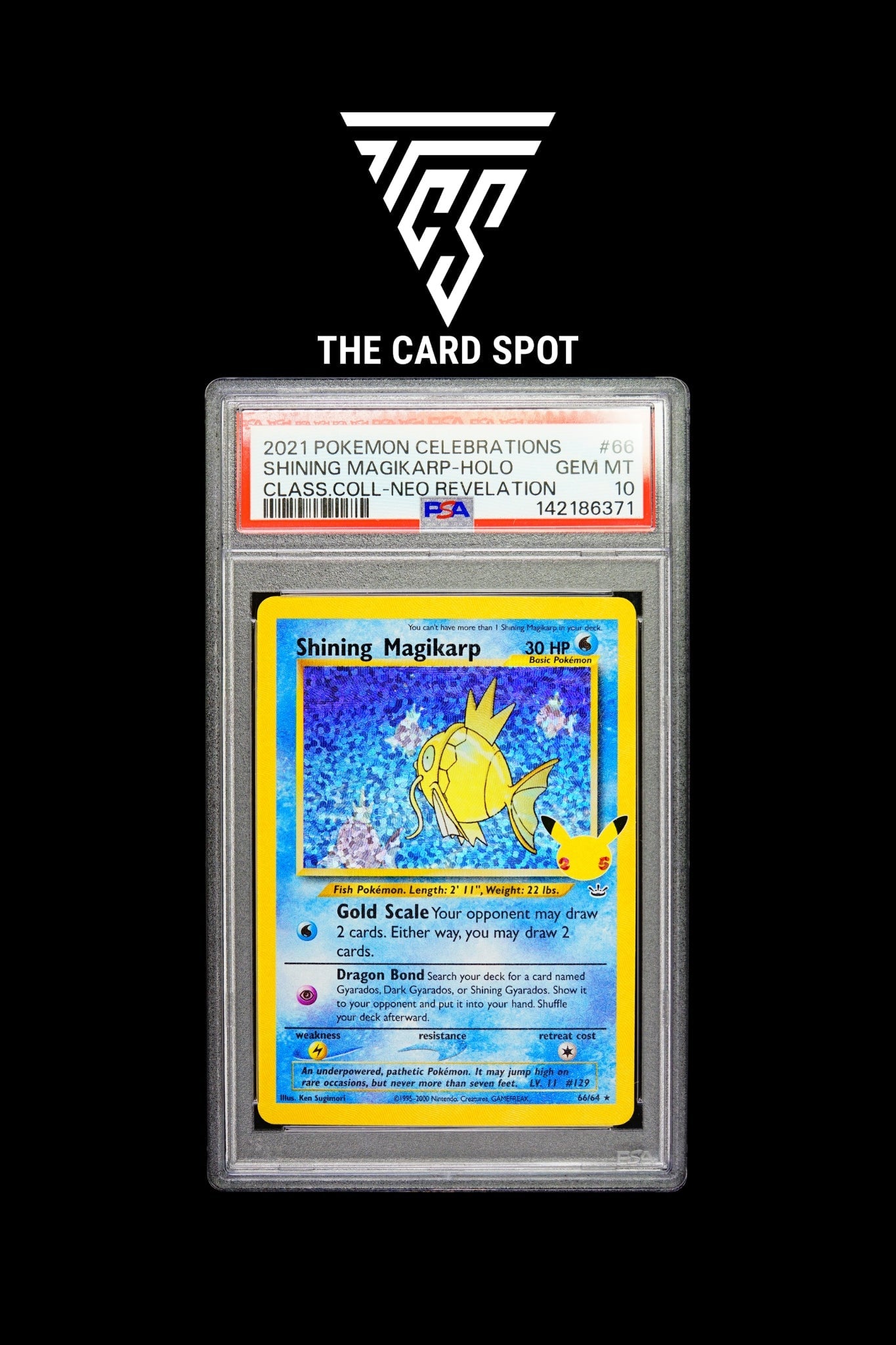 66/64 Shining Magikarp PSA 10 - Pokemon TCG - THE CARD SPOT PTY LTD.