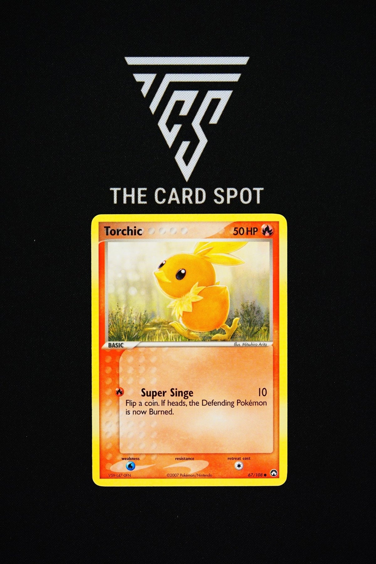 67/108 Torchic [LP] - Pokemon TCG - THE CARD SPOT PTY LTD.