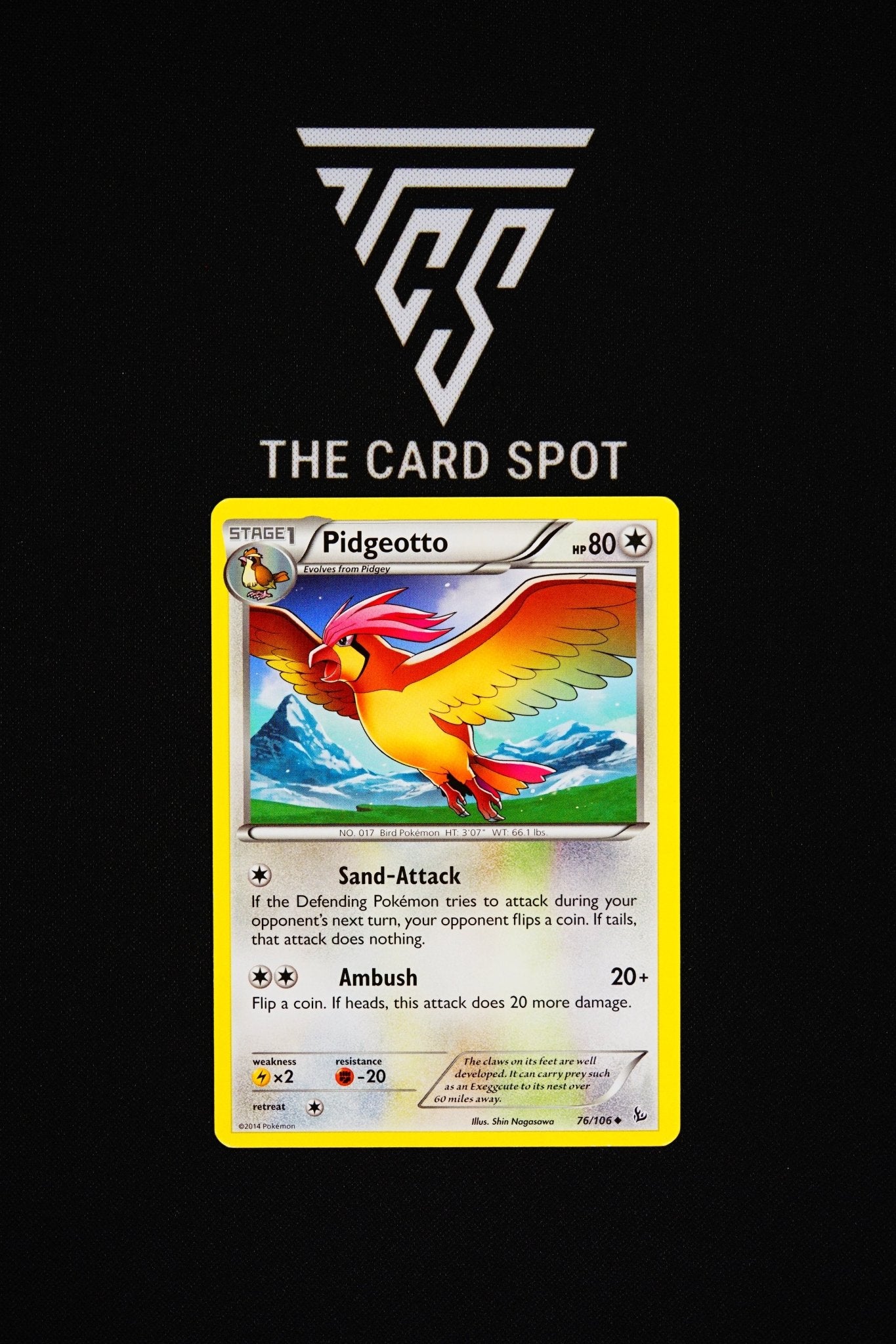 76/106 Pidgeotto - Pokemon TCG - THE CARD SPOT PTY LTD.