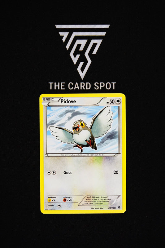 80/98 Pidove - Pokemon TCG - THE CARD SPOT PTY LTD.