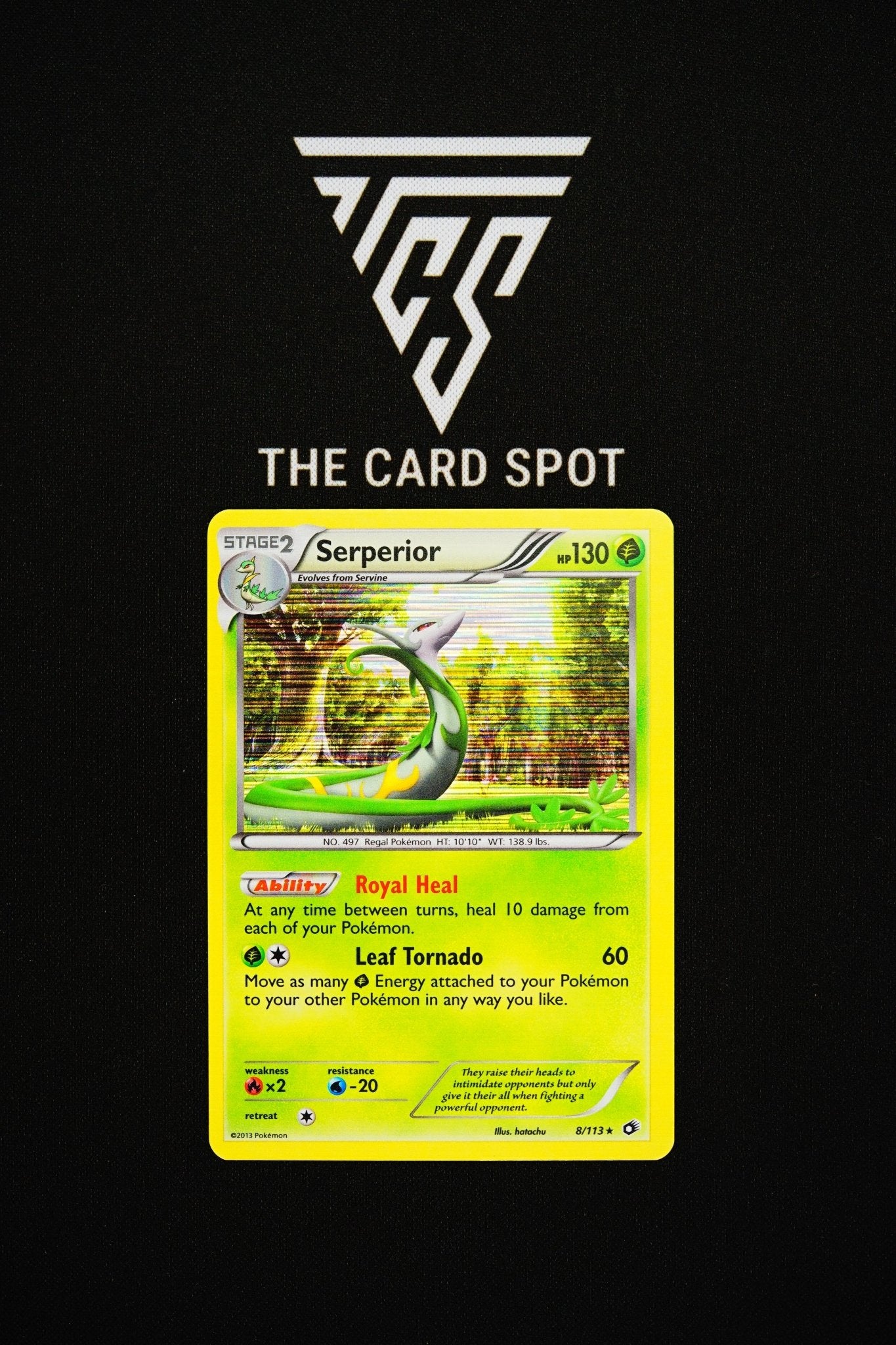 8/113 Serperior - Pokemon TCG - THE CARD SPOT PTY LTD.