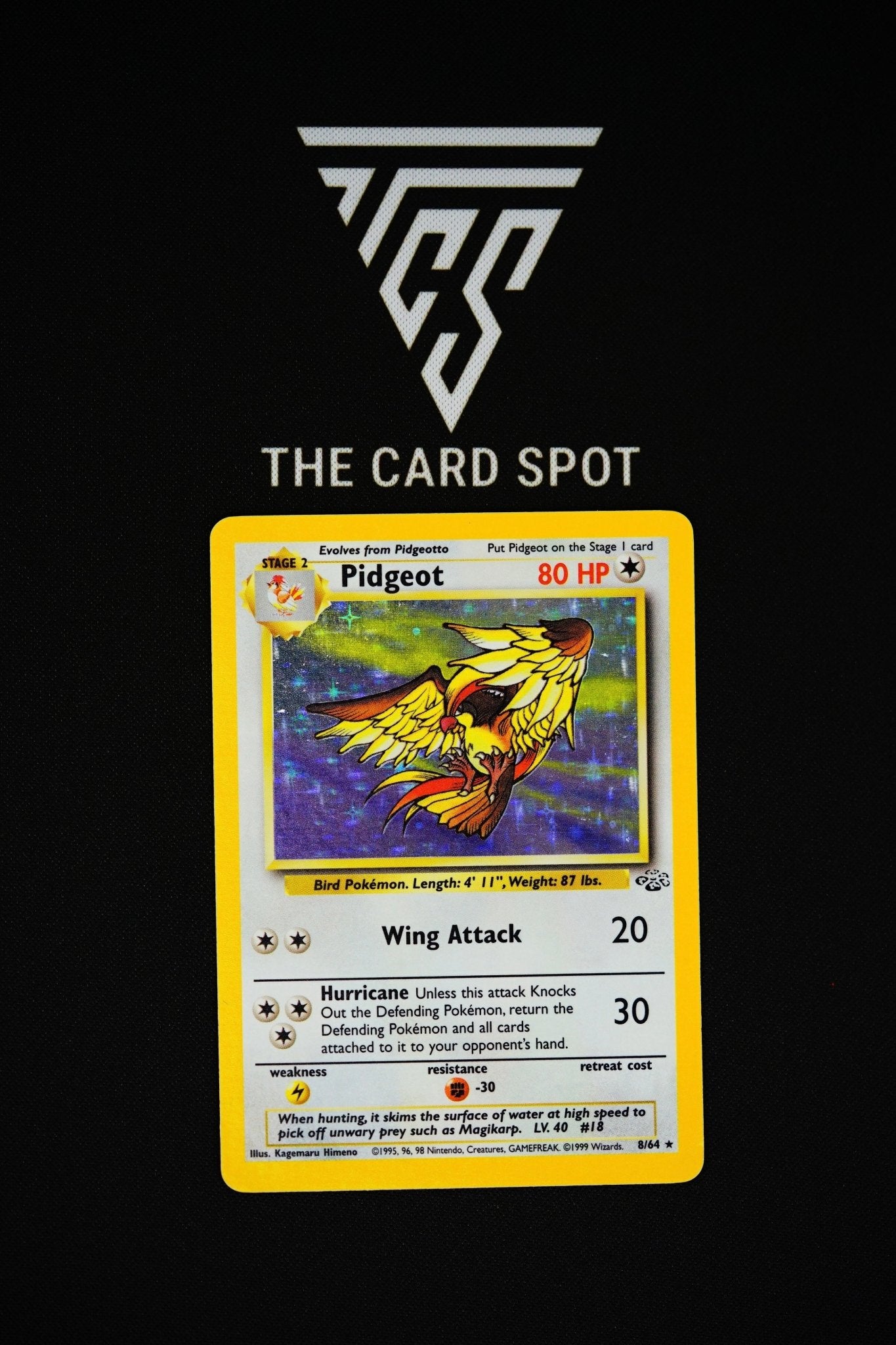 8/64 Pidgeot Holo Jungle - Pokemon - THE CARD SPOT PTY LTD.Pokemon Raw CardsPokémon