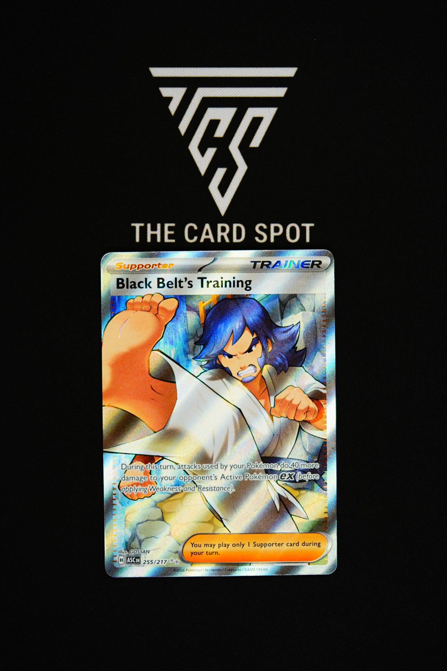 255/217 Black Belt's Training - Pokemon TCG