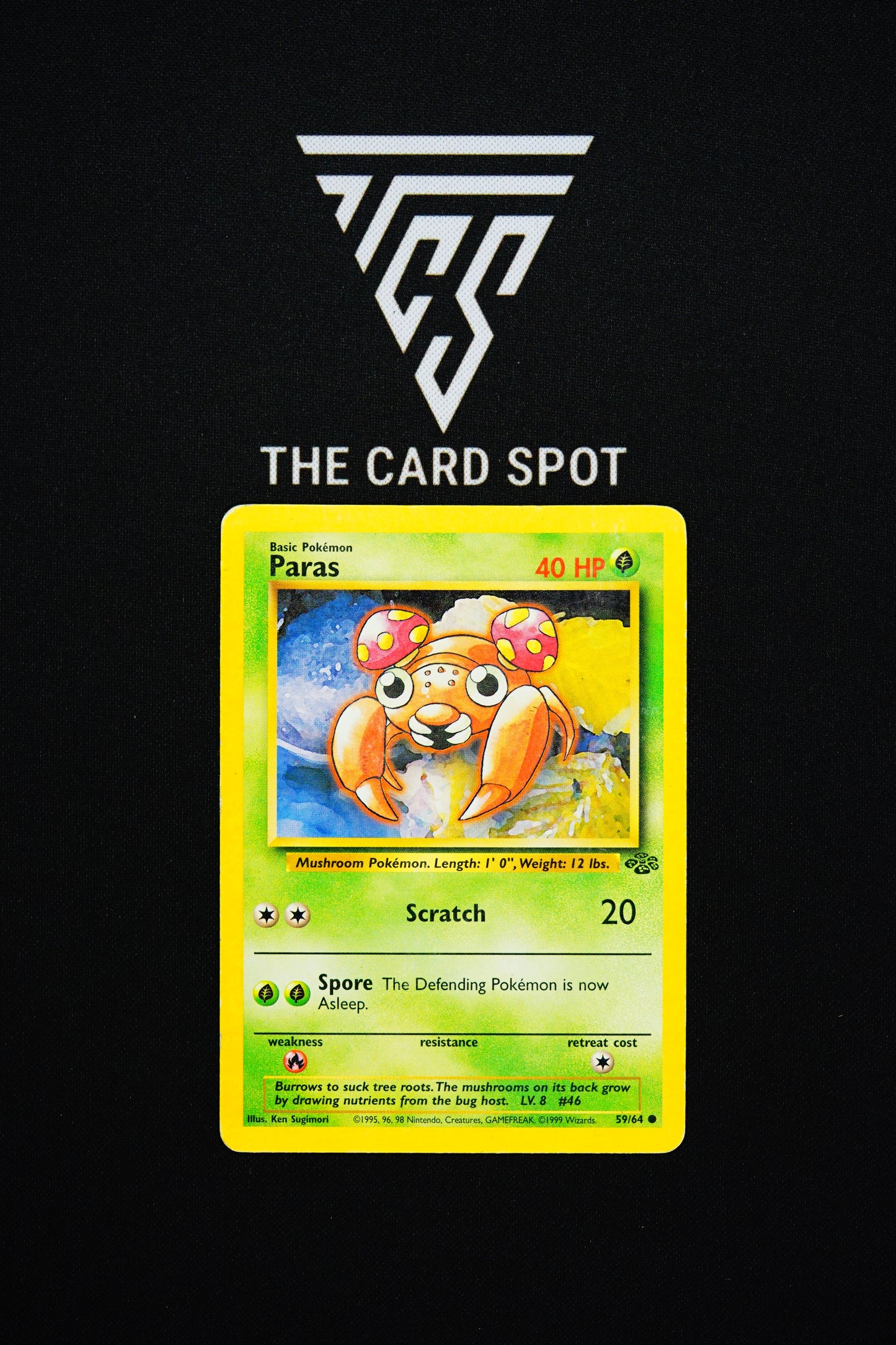 32/62 Cloyster - Pokemon TCG