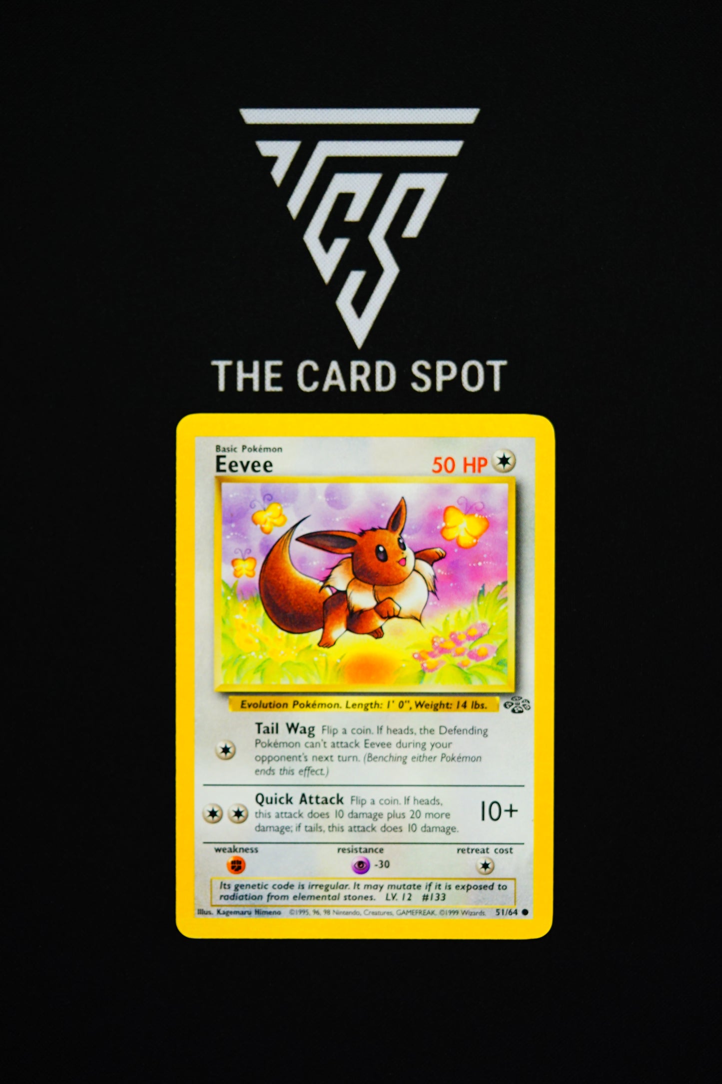 51/64 Eevee - Pokemon TCG