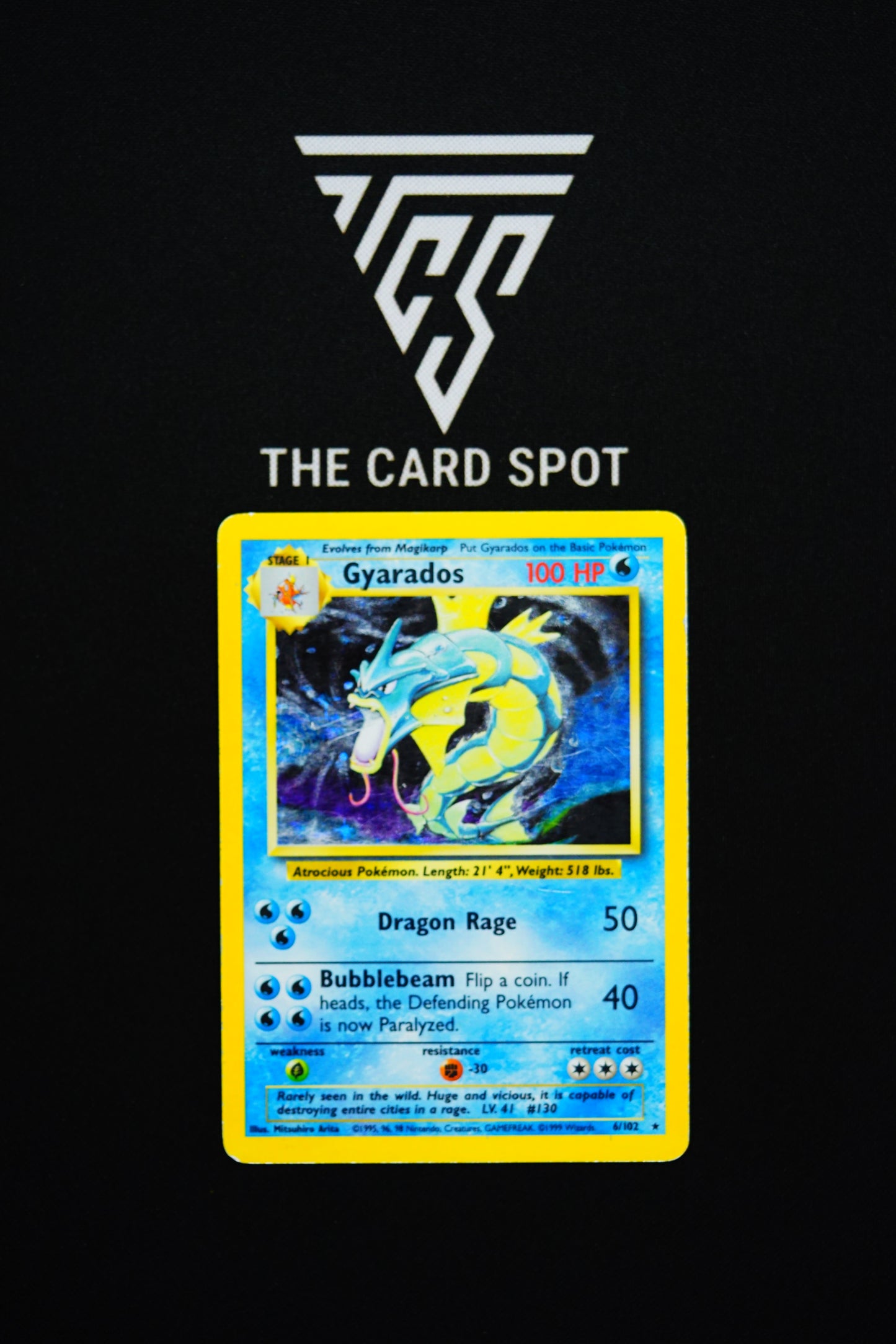 6/102 Gyrados [HP] - Pokemon TCG