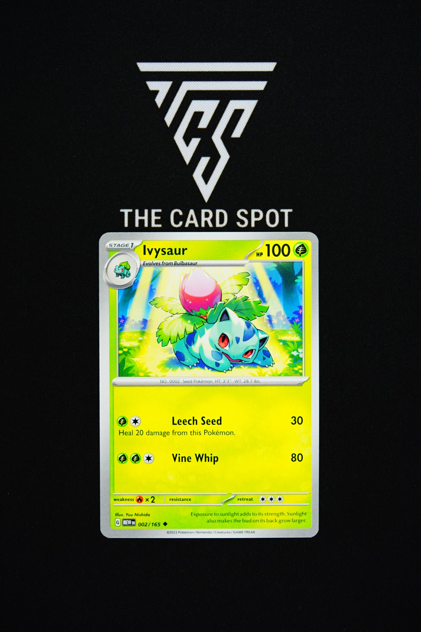 002/165 Ivysaur - Pokemon TCG