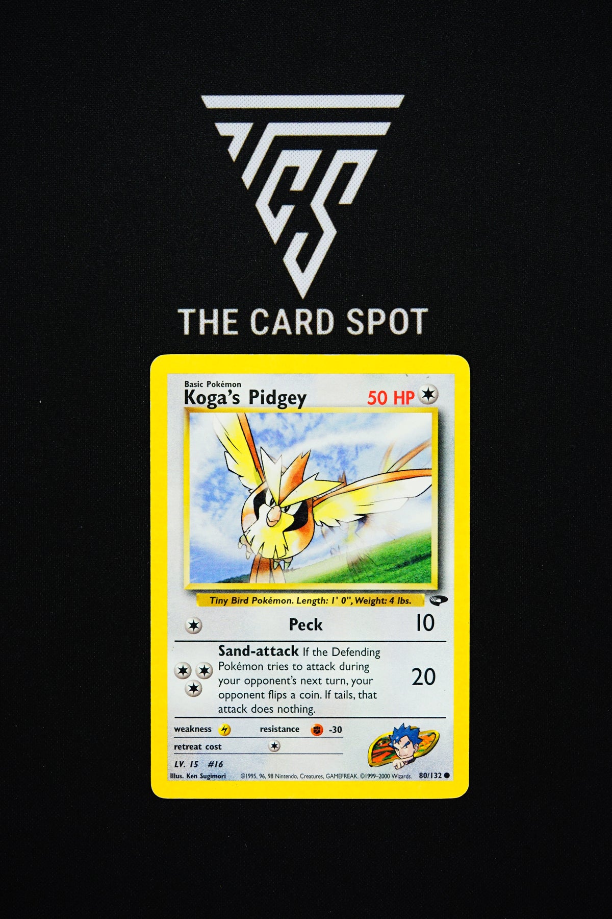 80/132 Koda's Pidgey [MP] - Pokemon TCG