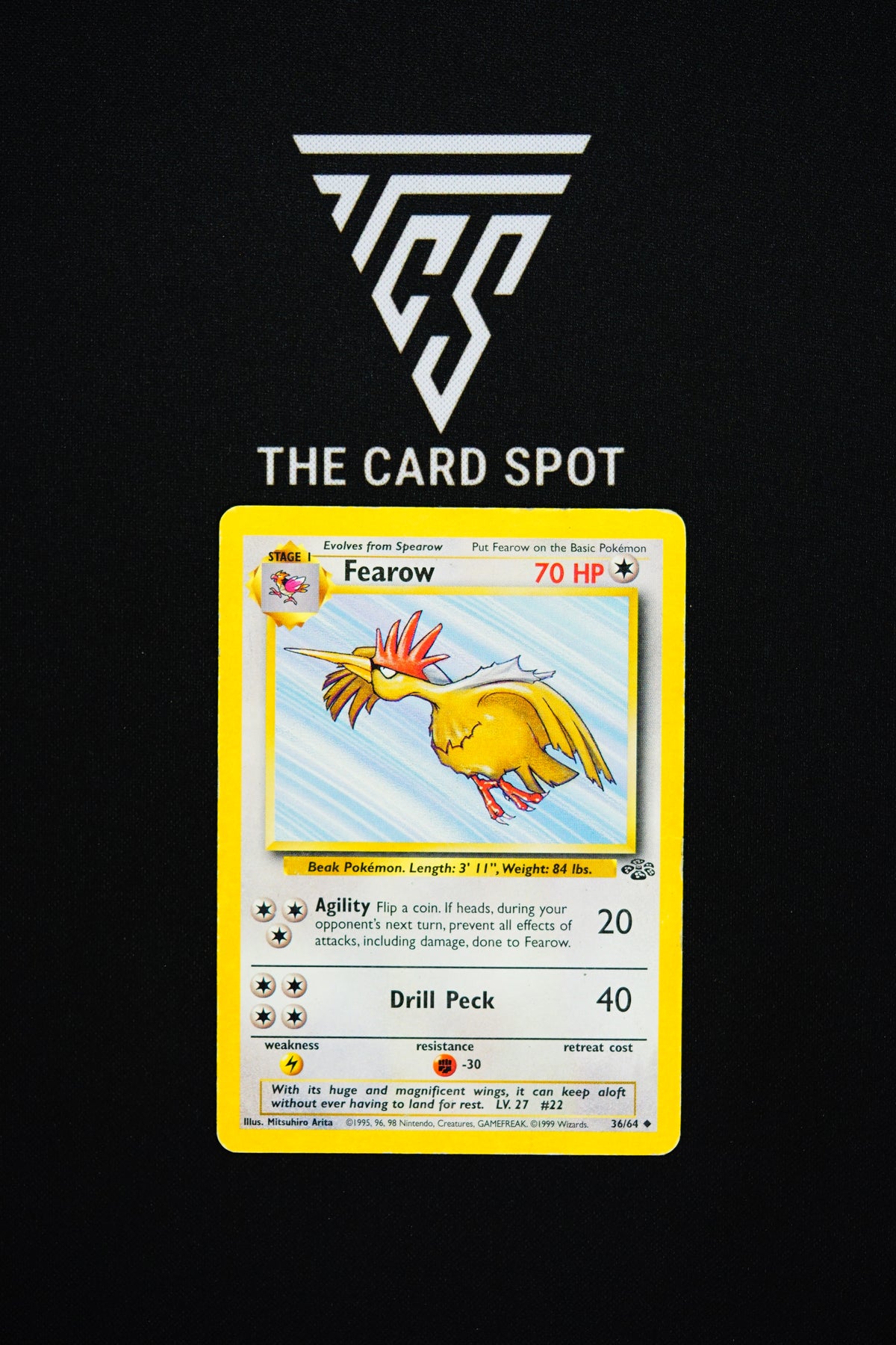 36/64 Fearow [DMG] - Pokemon TCG