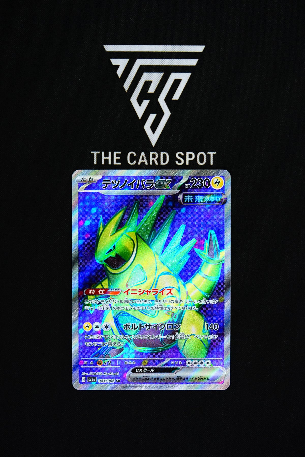 081/066 - Iron Thorns ex - Pokemon TCG