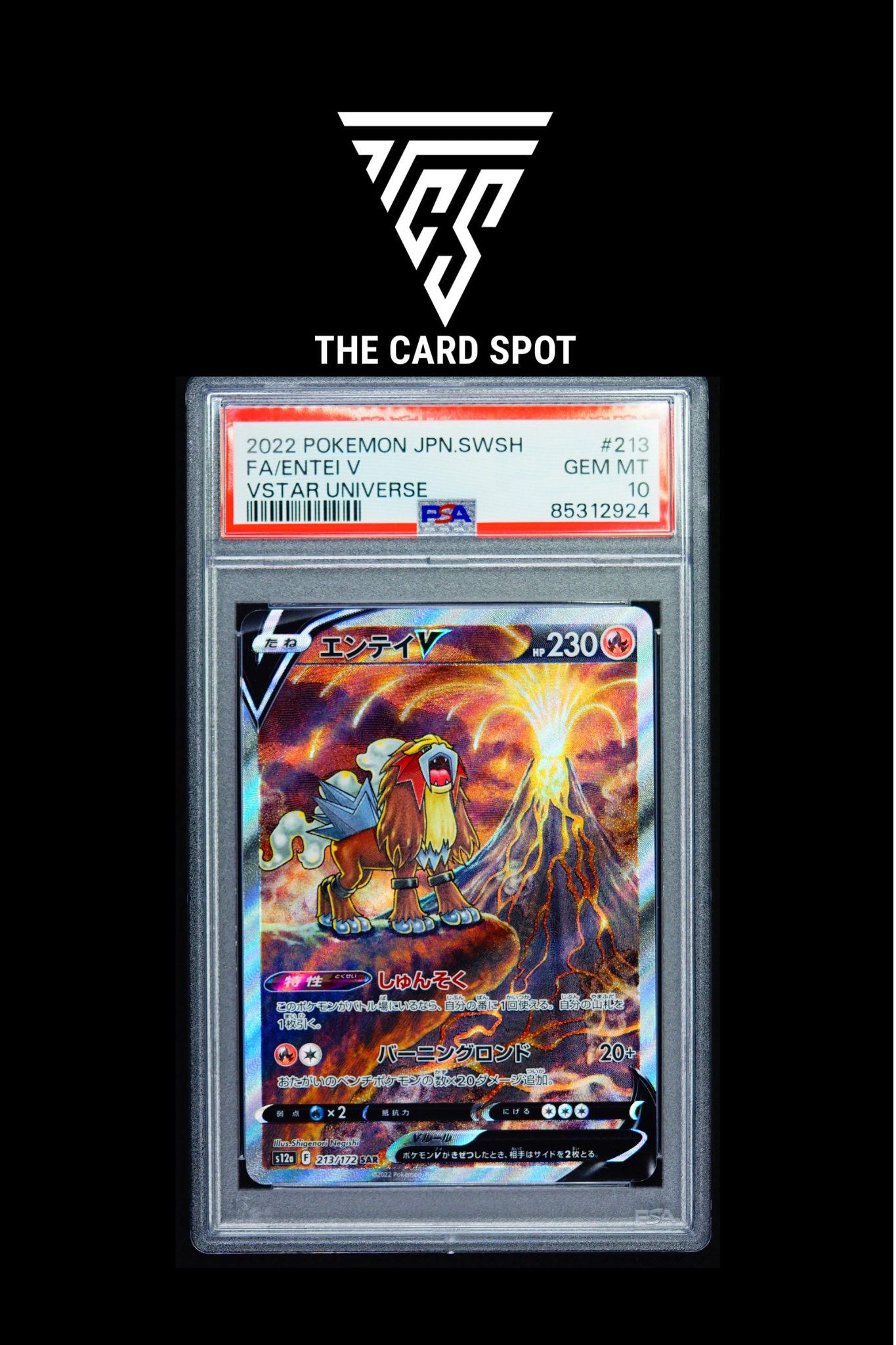 213/172 Entei V - 215/172 Suicune V - 218/172 Raikou V PSA 10 Sequential Set - Pokemon TCG