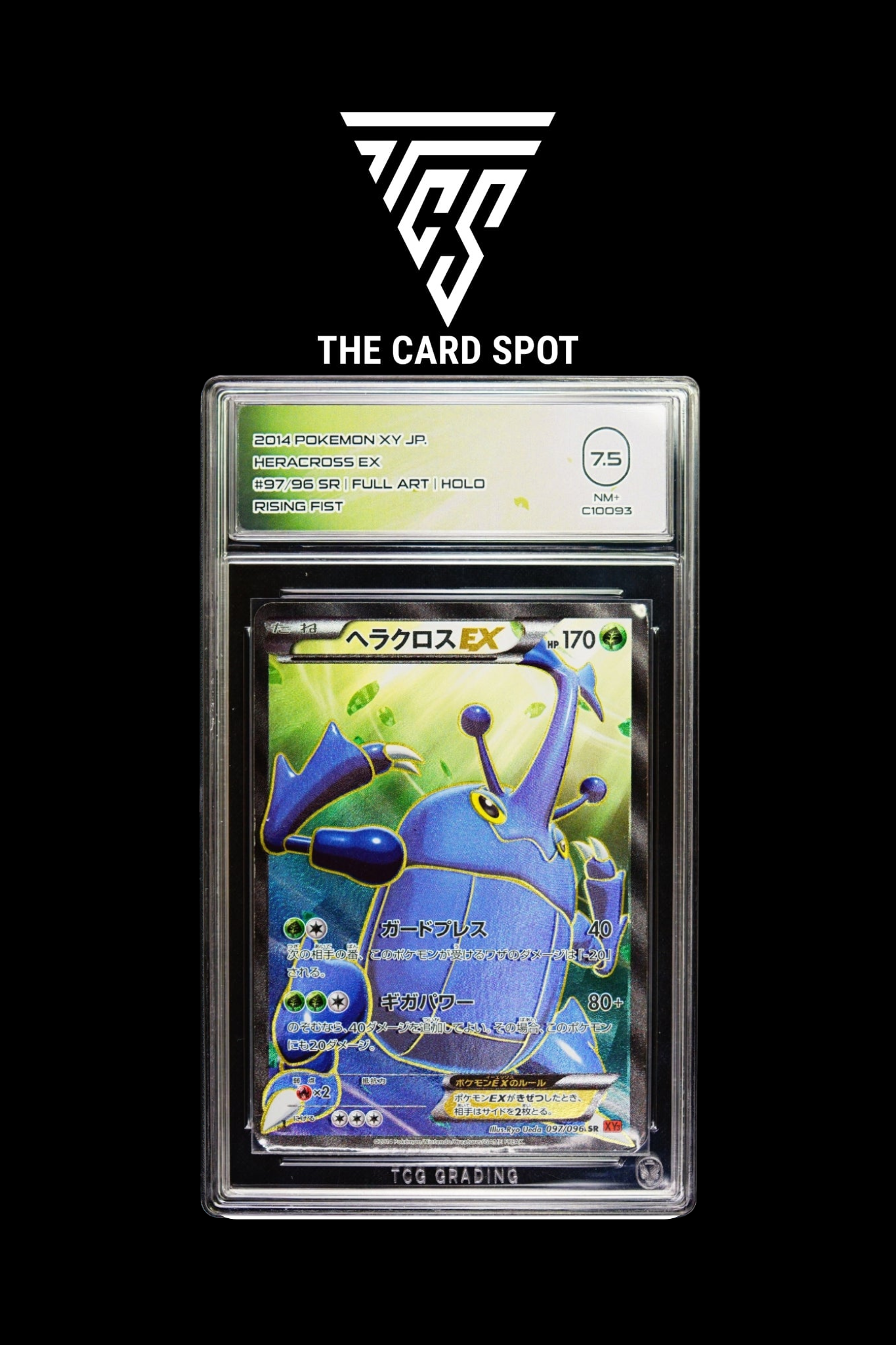 097/096 Heracross Ex TCG 7.5 - Pokemon TCG