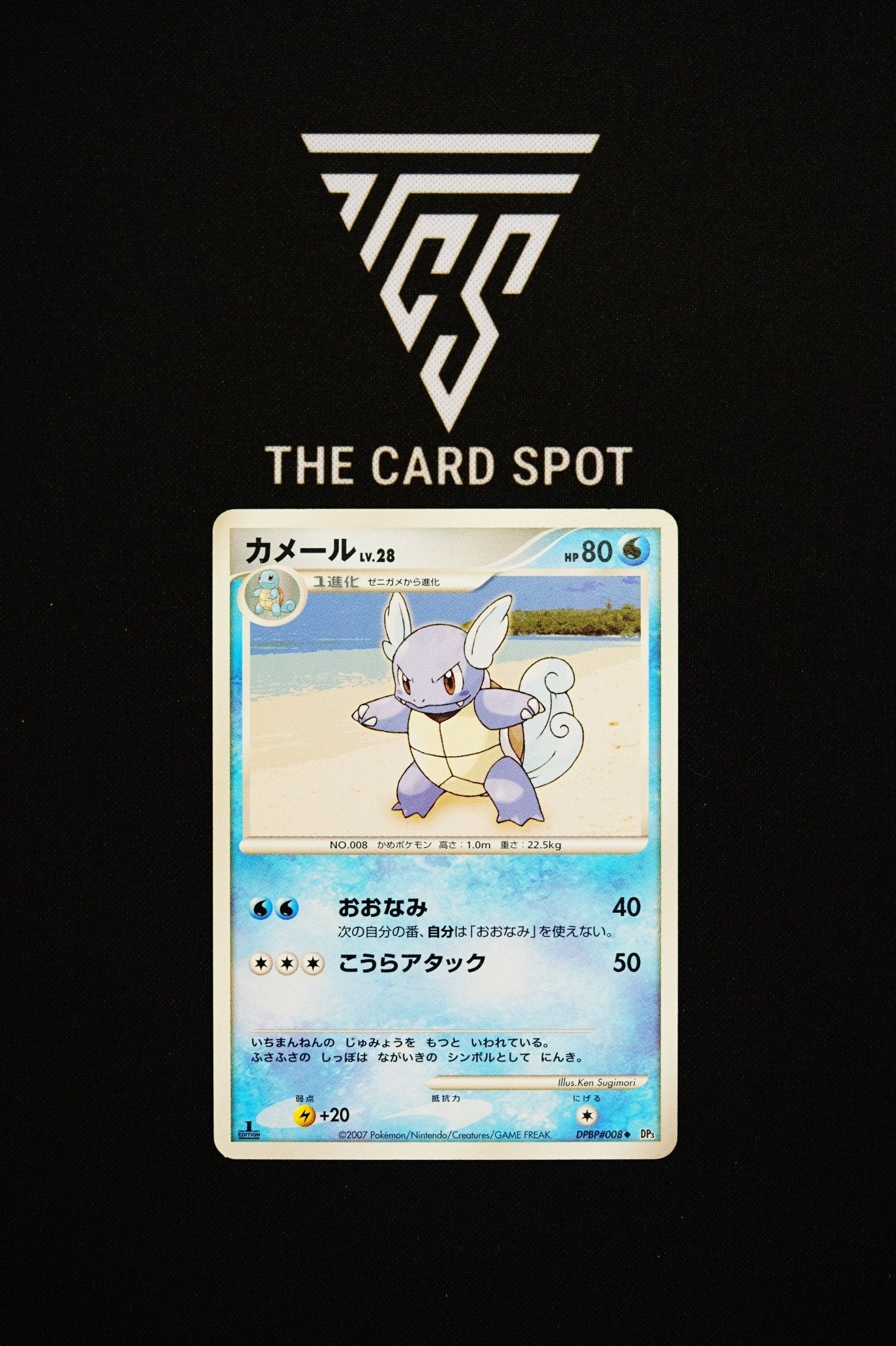DPBP008 - Wartortle - Pokemon TCG - THE CARD SPOT PTY LTD.