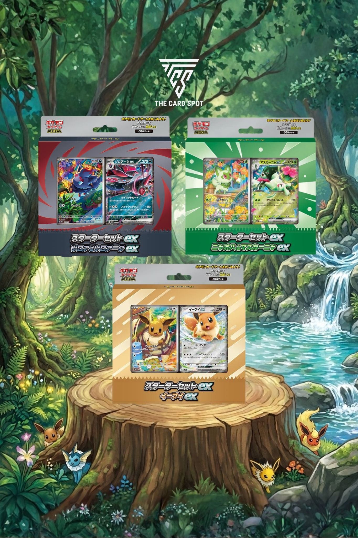 Mega Starter EX Sets - Pokemon TCG - THE CARD SPOT PTY LTD.
