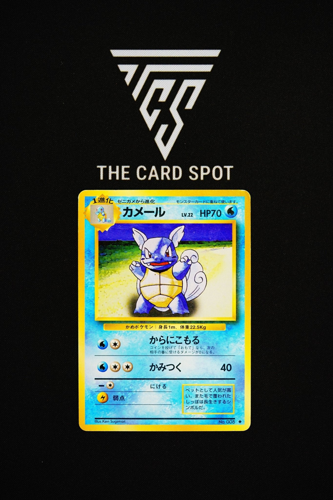 No.008 Wartotle - Pokemon TCG - THE CARD SPOT PTY LTD.