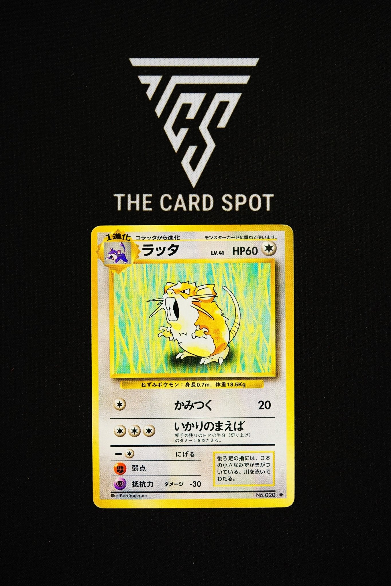 No.020 Raticate - Pokemon TCG - THE CARD SPOT PTY LTD.