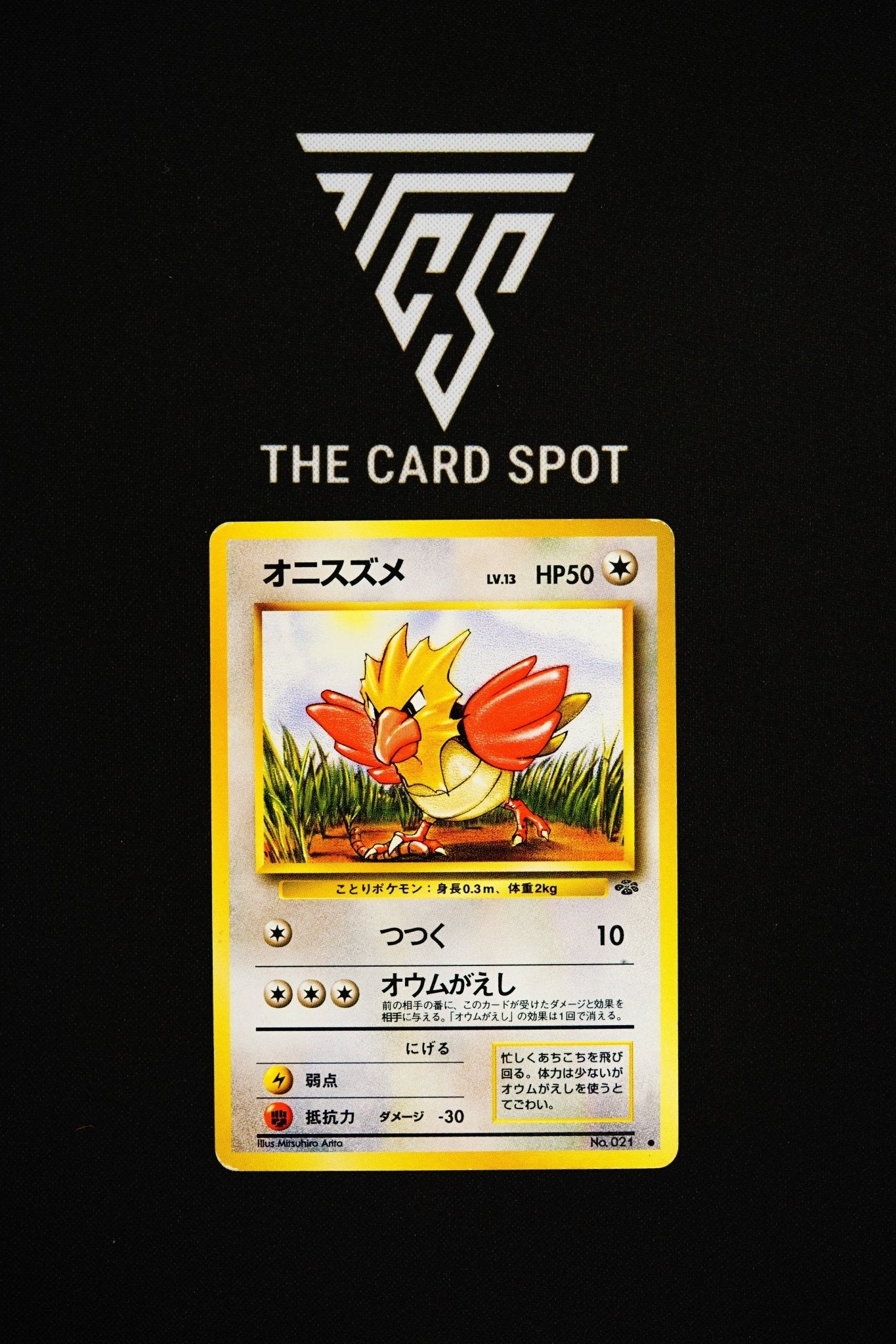 No.021 Spearow - Pokemon TCG - THE CARD SPOT PTY LTD.