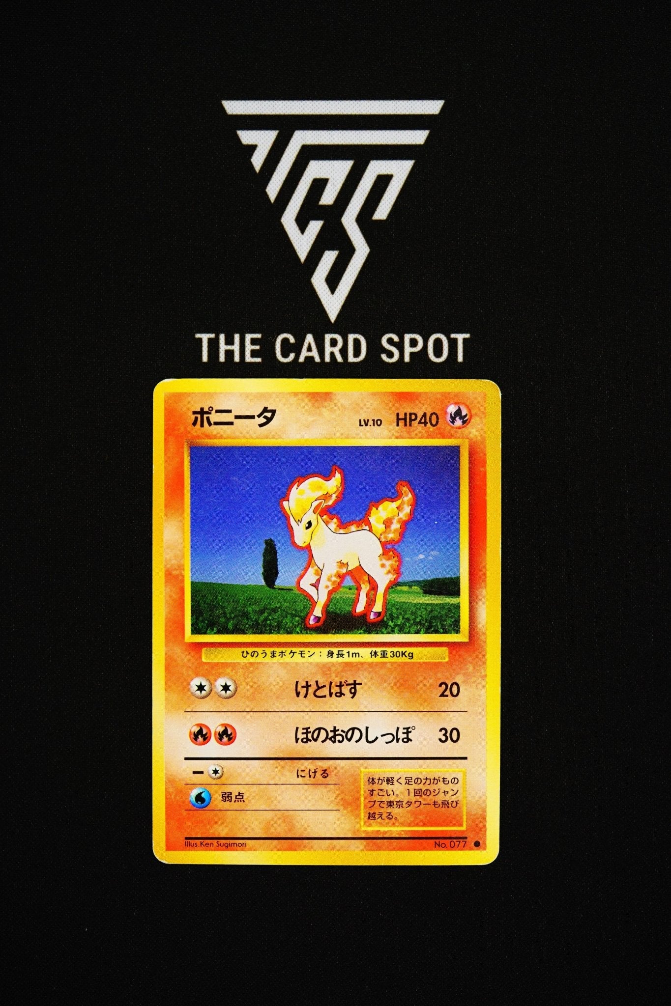 No.077 Ponyta - Pokemon TCG - THE CARD SPOT PTY LTD.