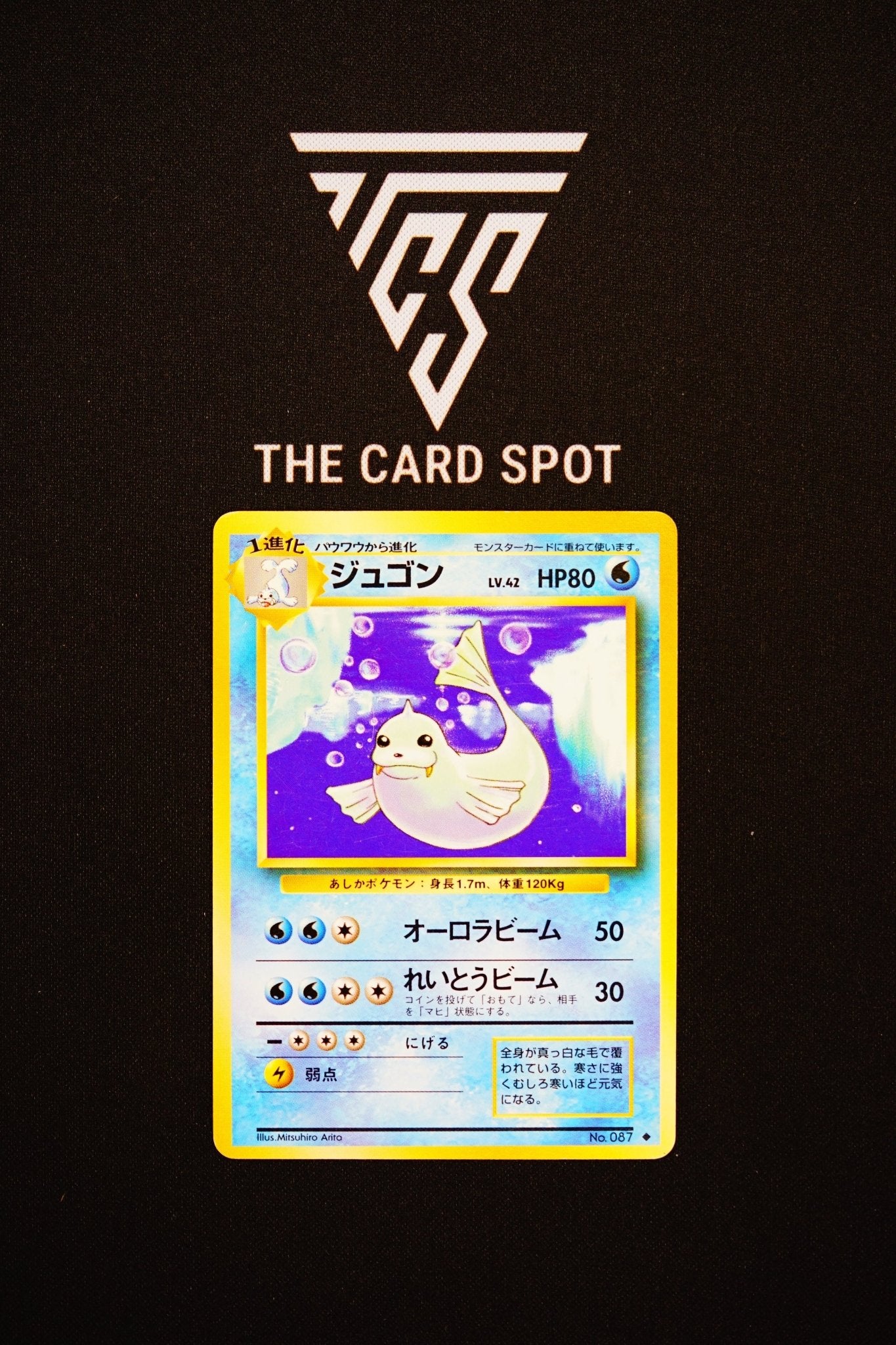 No.087 Dewgong - Pokemon TCG - THE CARD SPOT PTY LTD.