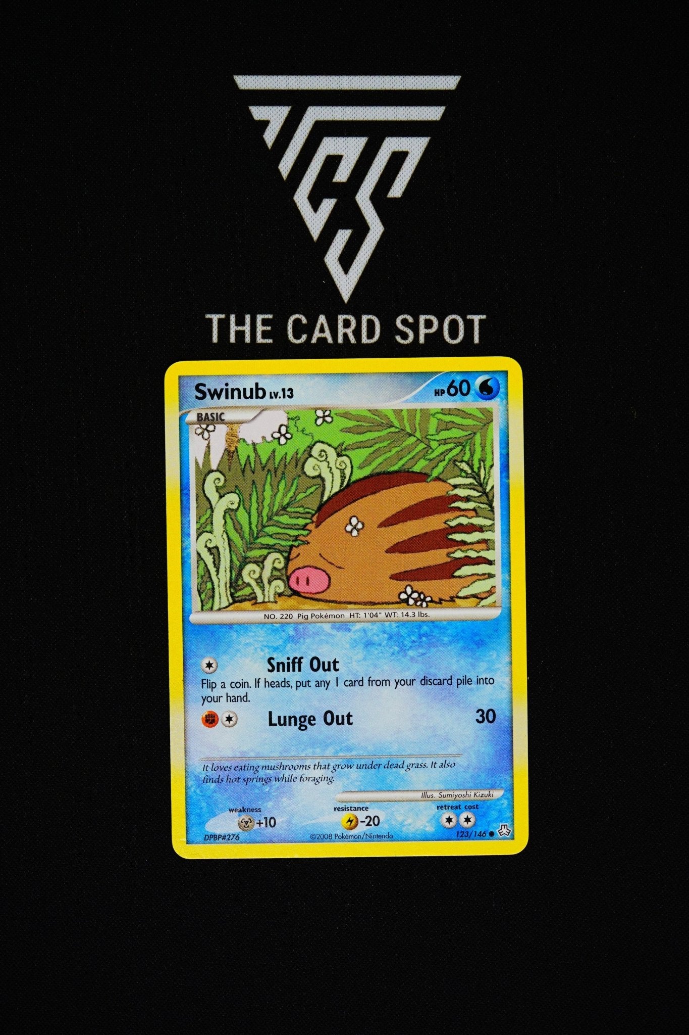 Swinub #123/146 - Pokemon TCG - THE CARD SPOT PTY LTD.