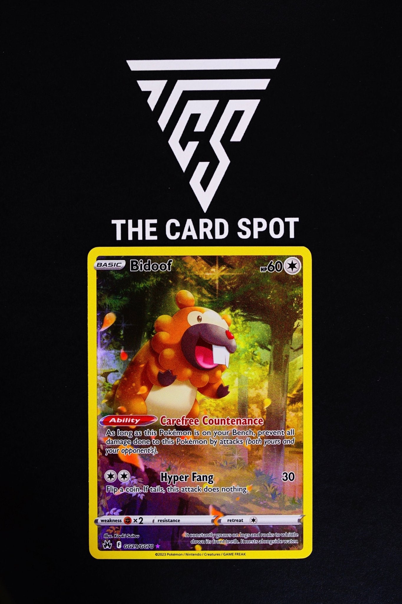 Bidoof GG29/GG70 - Pokemon Card - THE CARD SPOT PTY LTD.